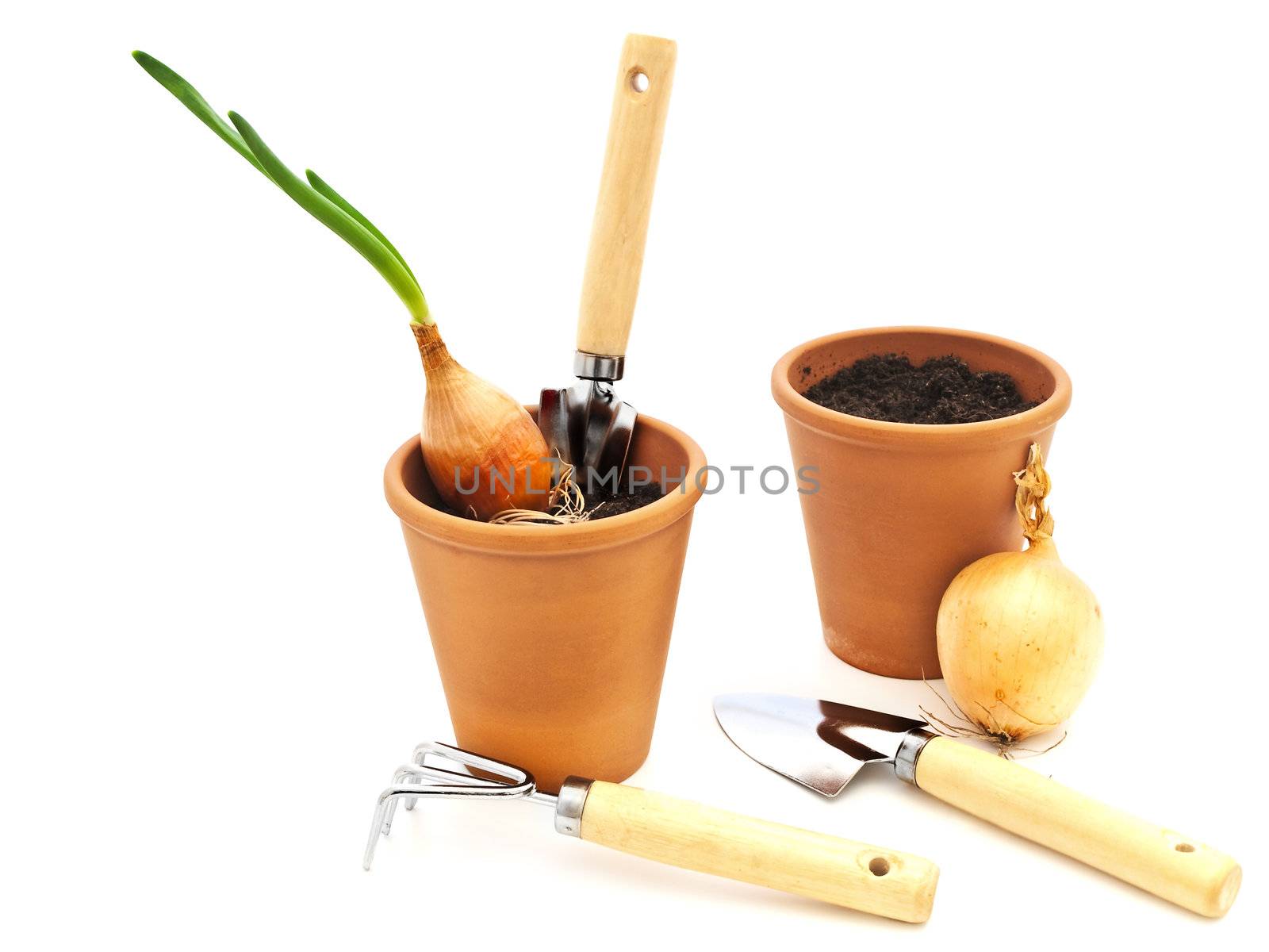 Some gardening tools and pots with black soil and green onion against white background