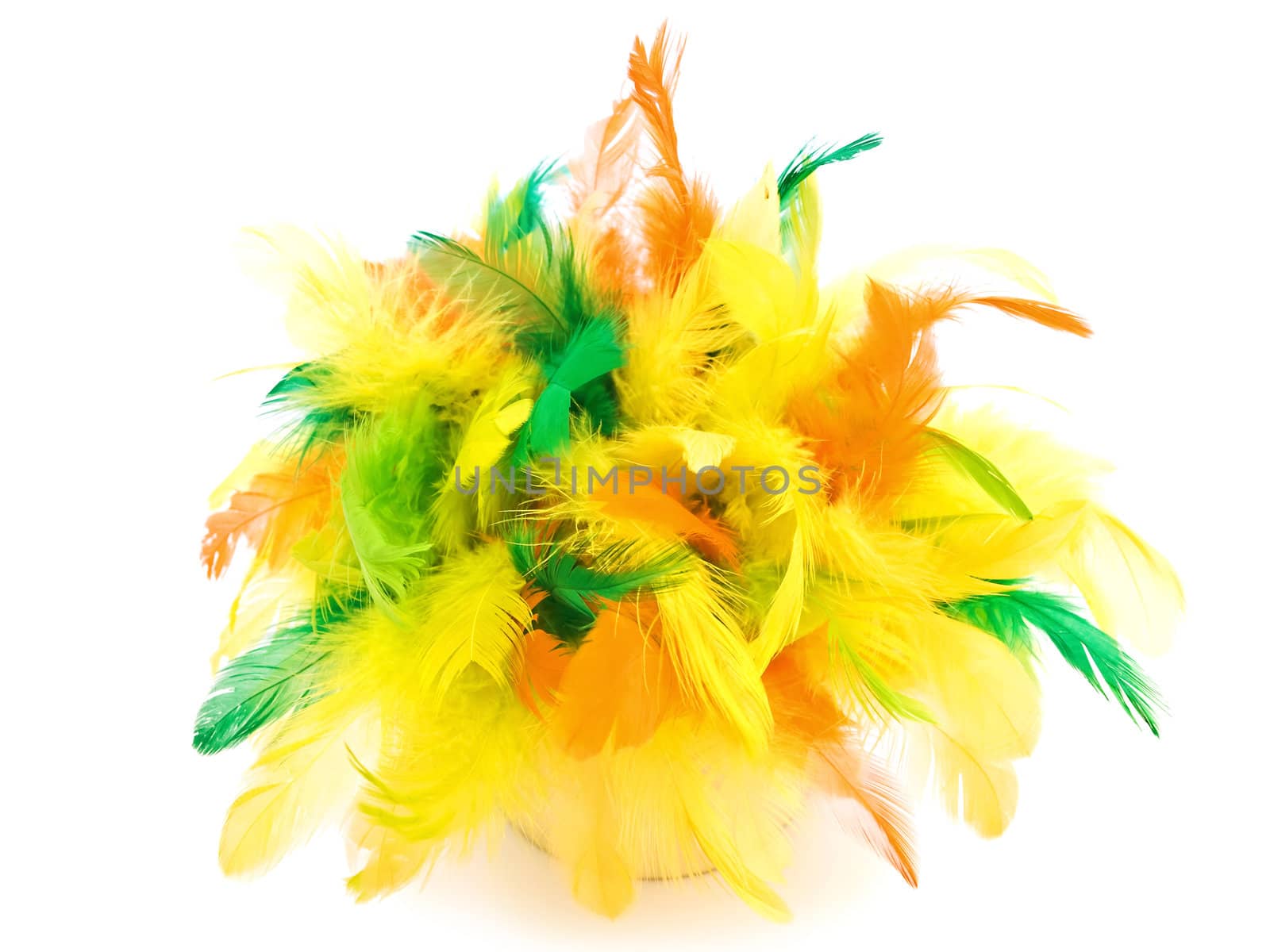 Bright easter composition with multicolored feathers over white