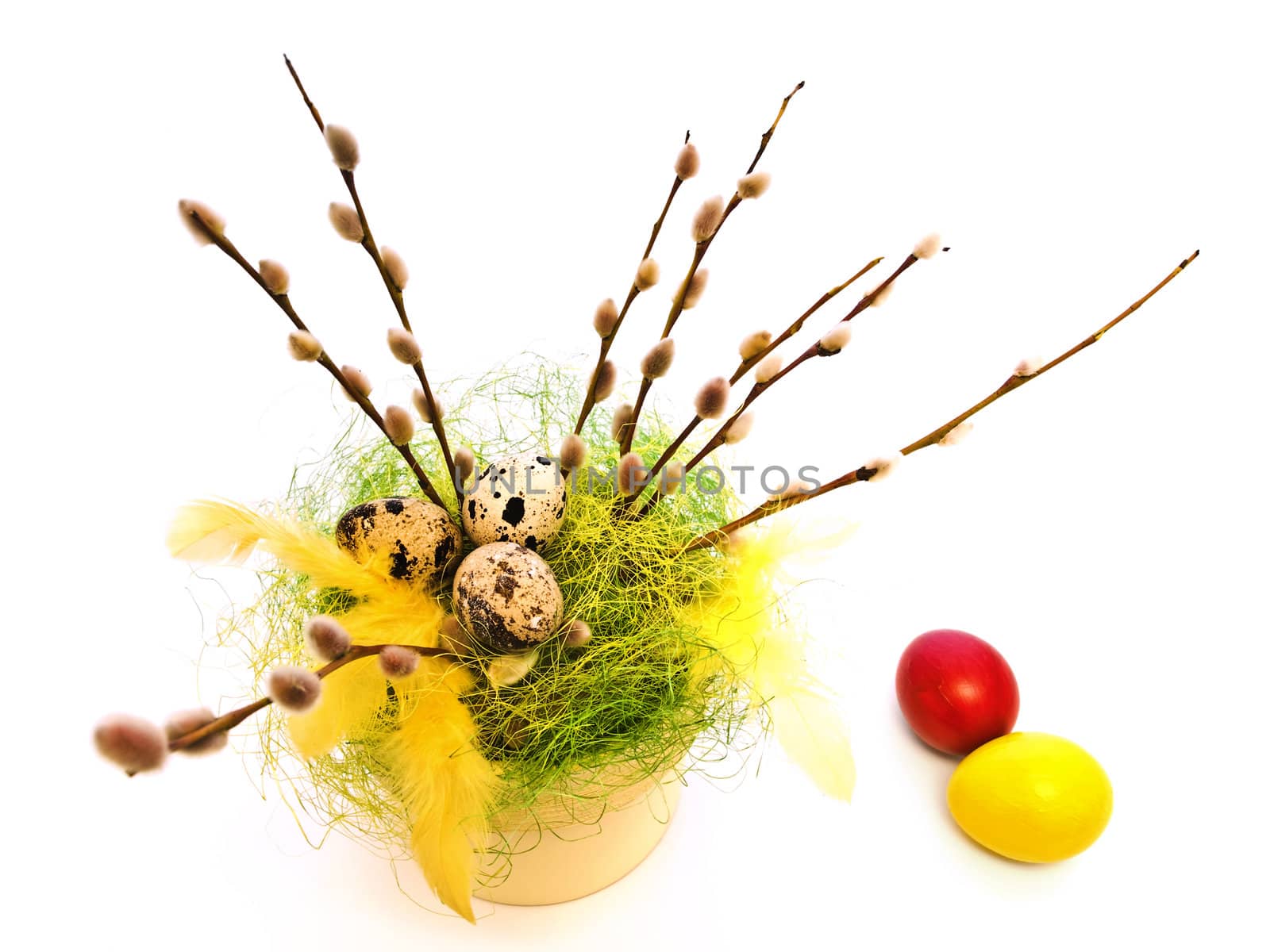 Easter composition with willow and colorful eggs