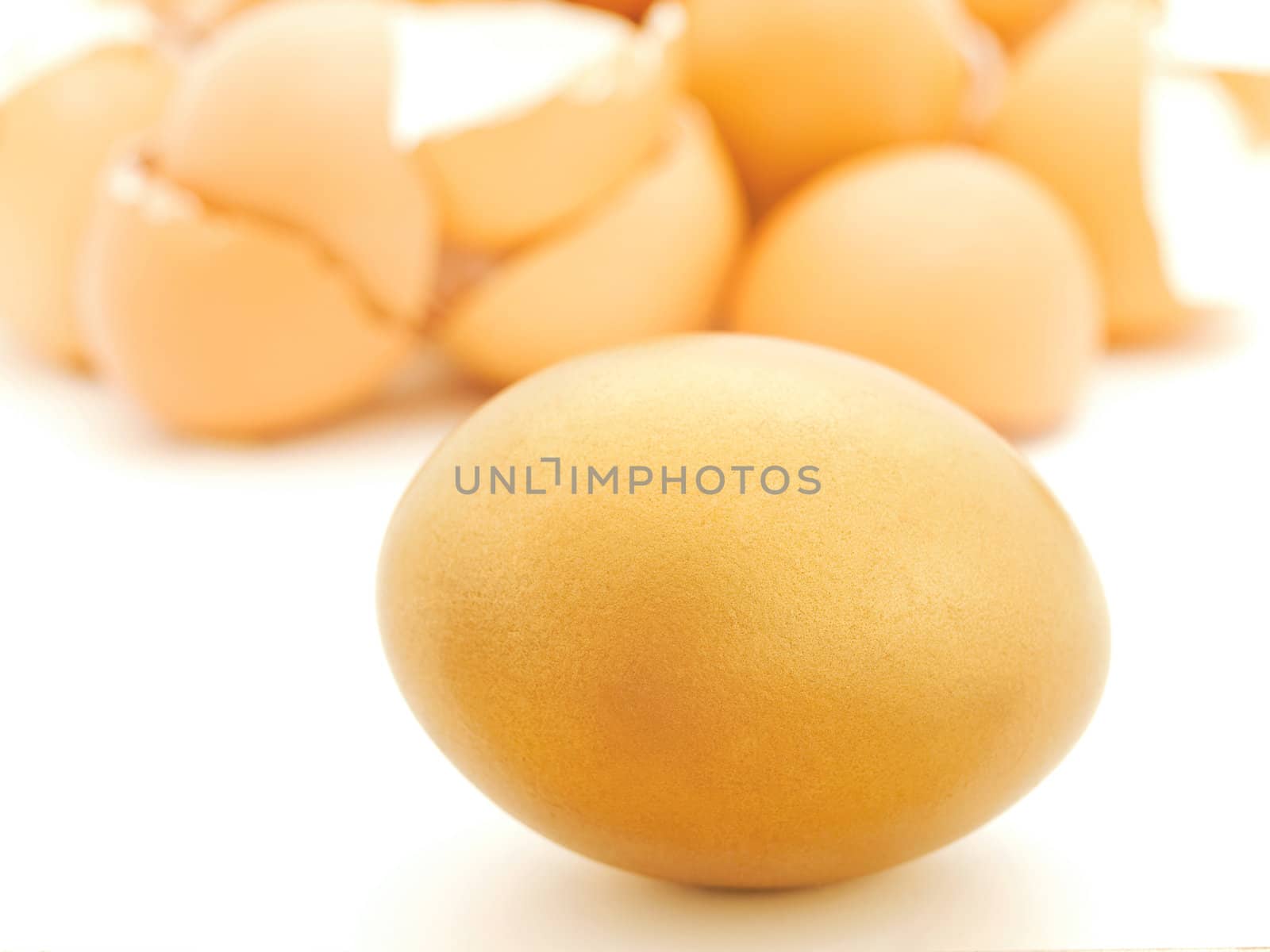 Single golden egg against heap of egg shell 
