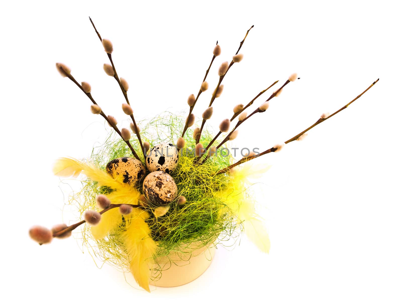 Easter composition with willow and quail eggs