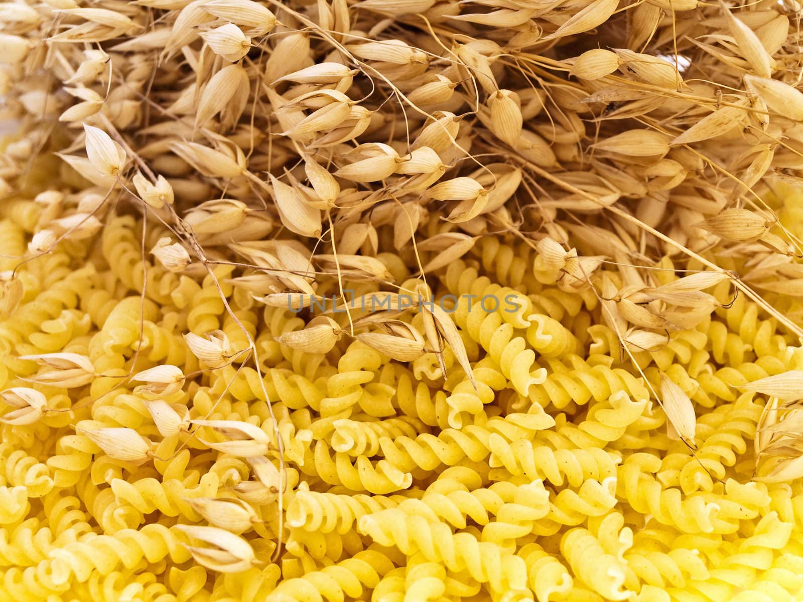 yelow spiral form pasta with oat grains