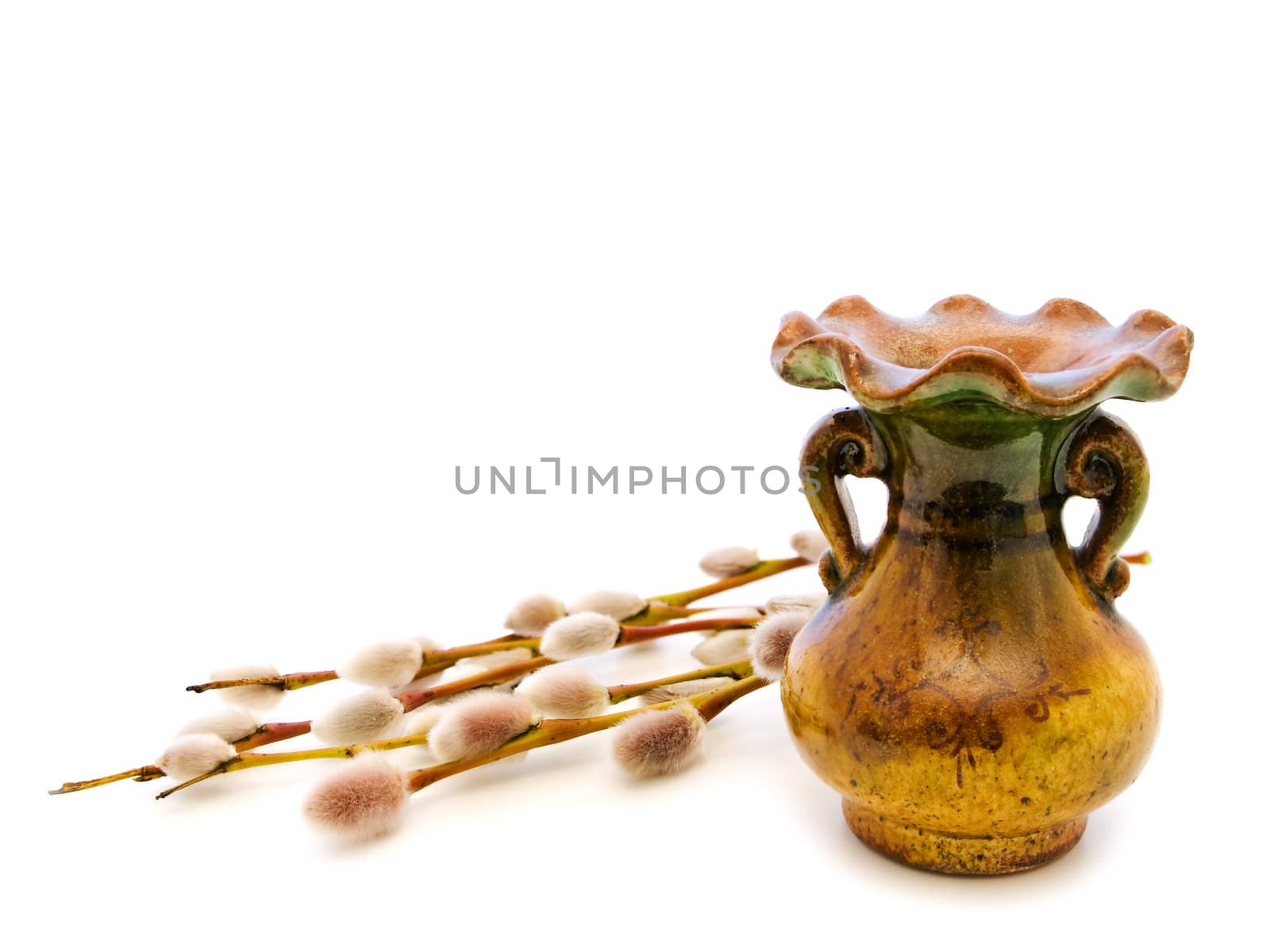 vase and some pussy willow twigs near it