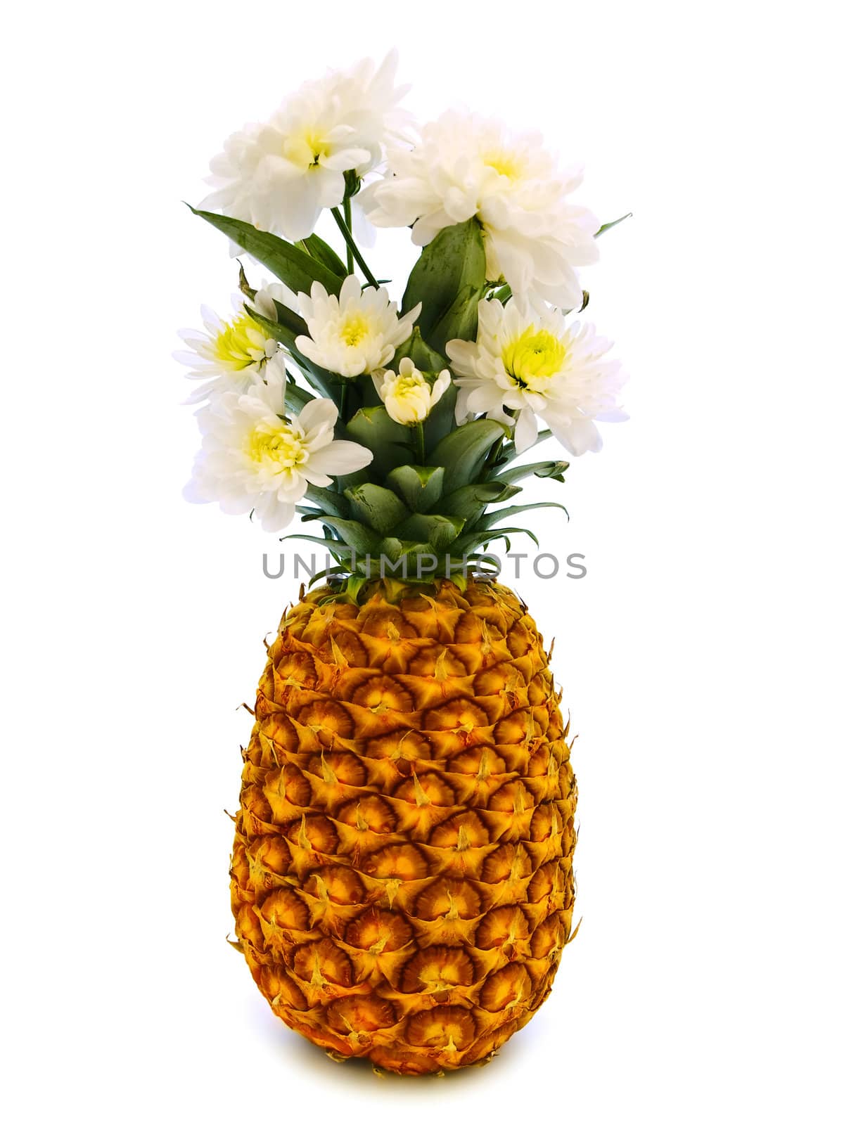 ripe pineapple with white flowers over clear background