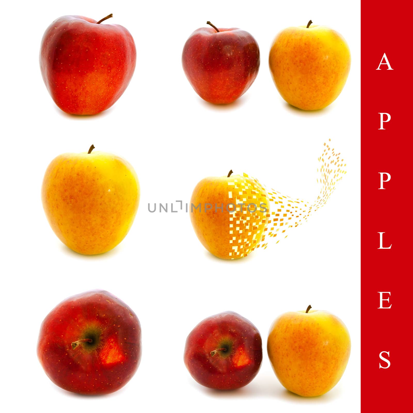 set of different apple images over white background