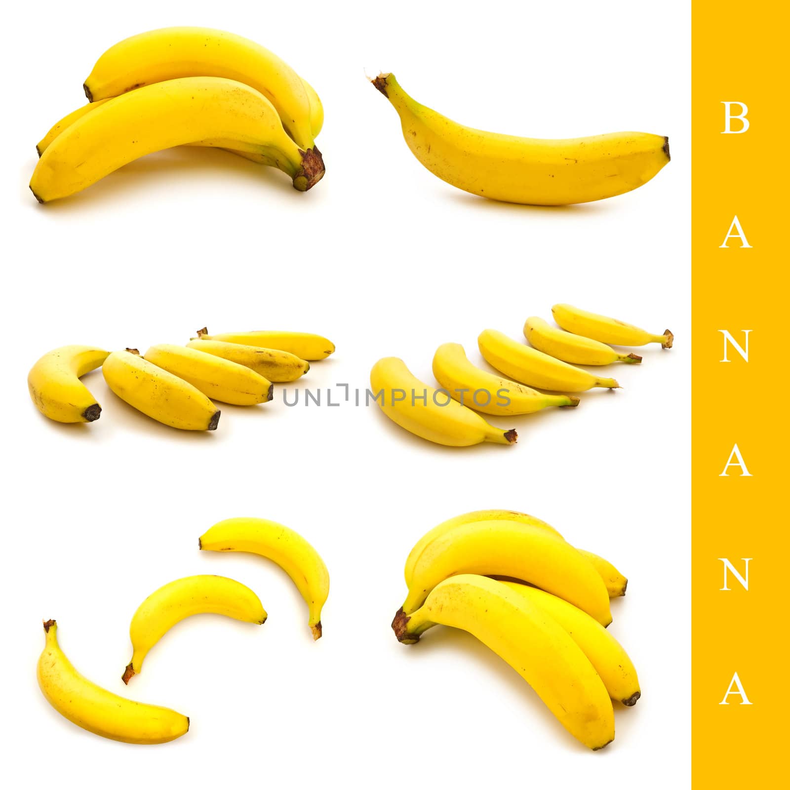 set of different banana images over white background