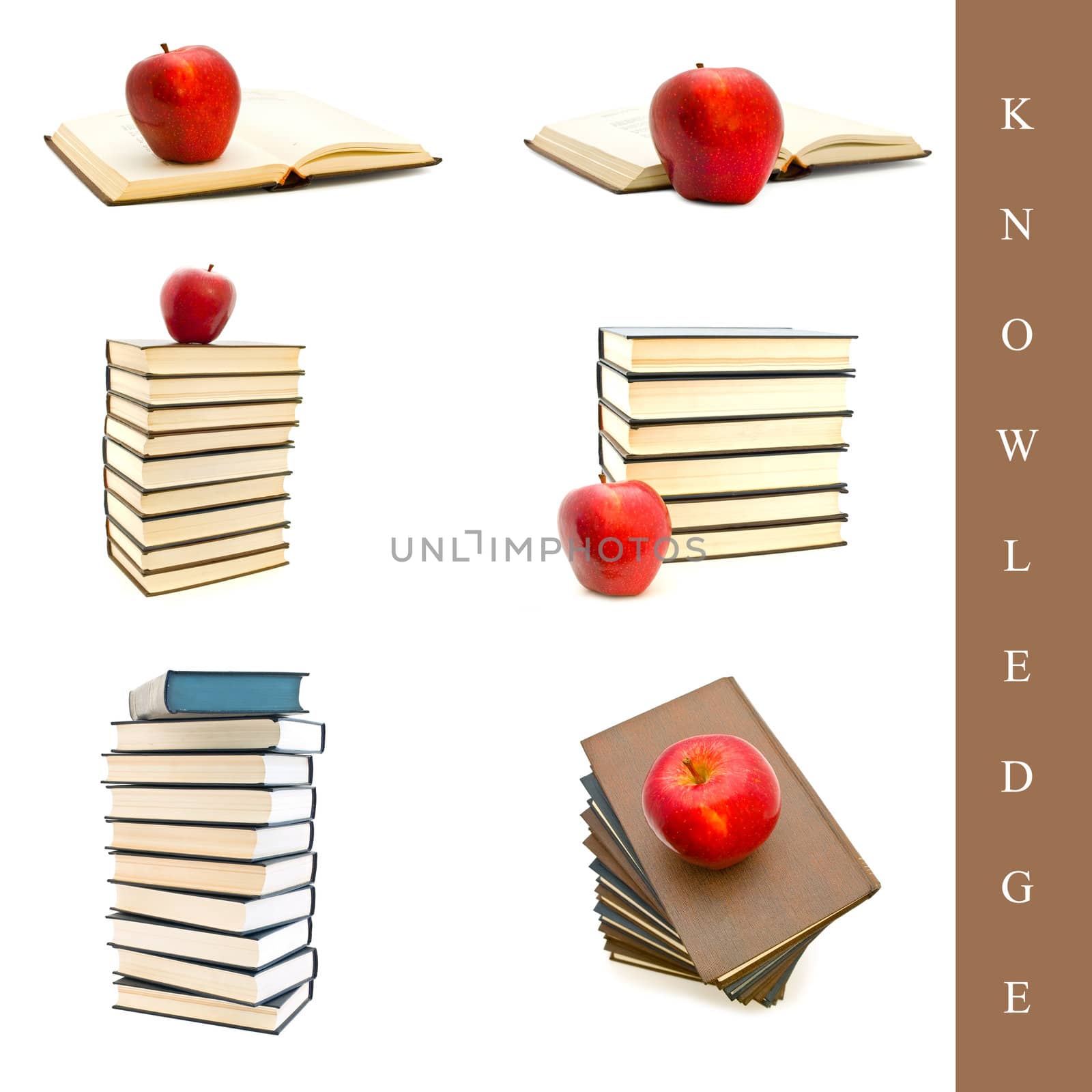 set of different book images over white background
