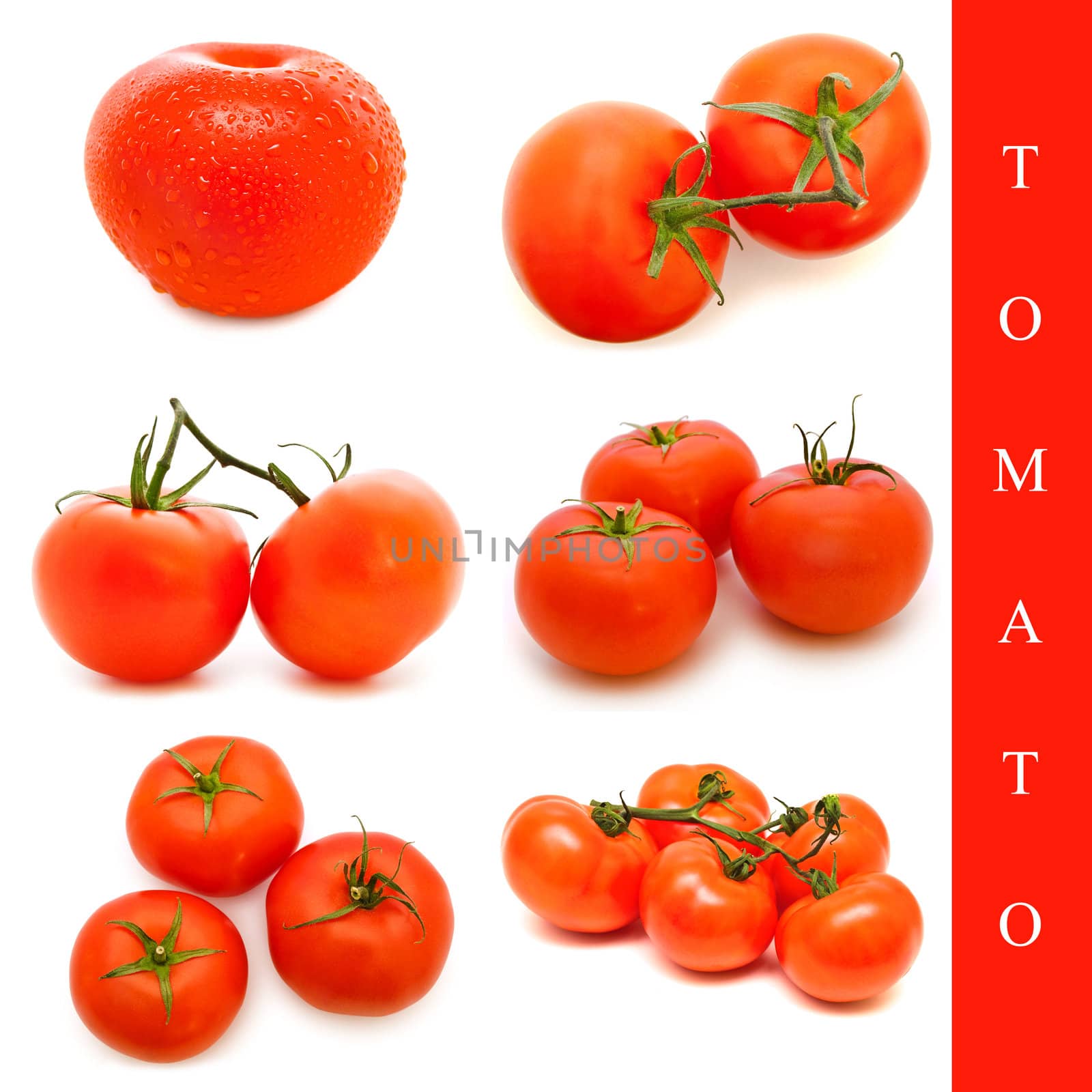 set of different tomatoes images over white background
