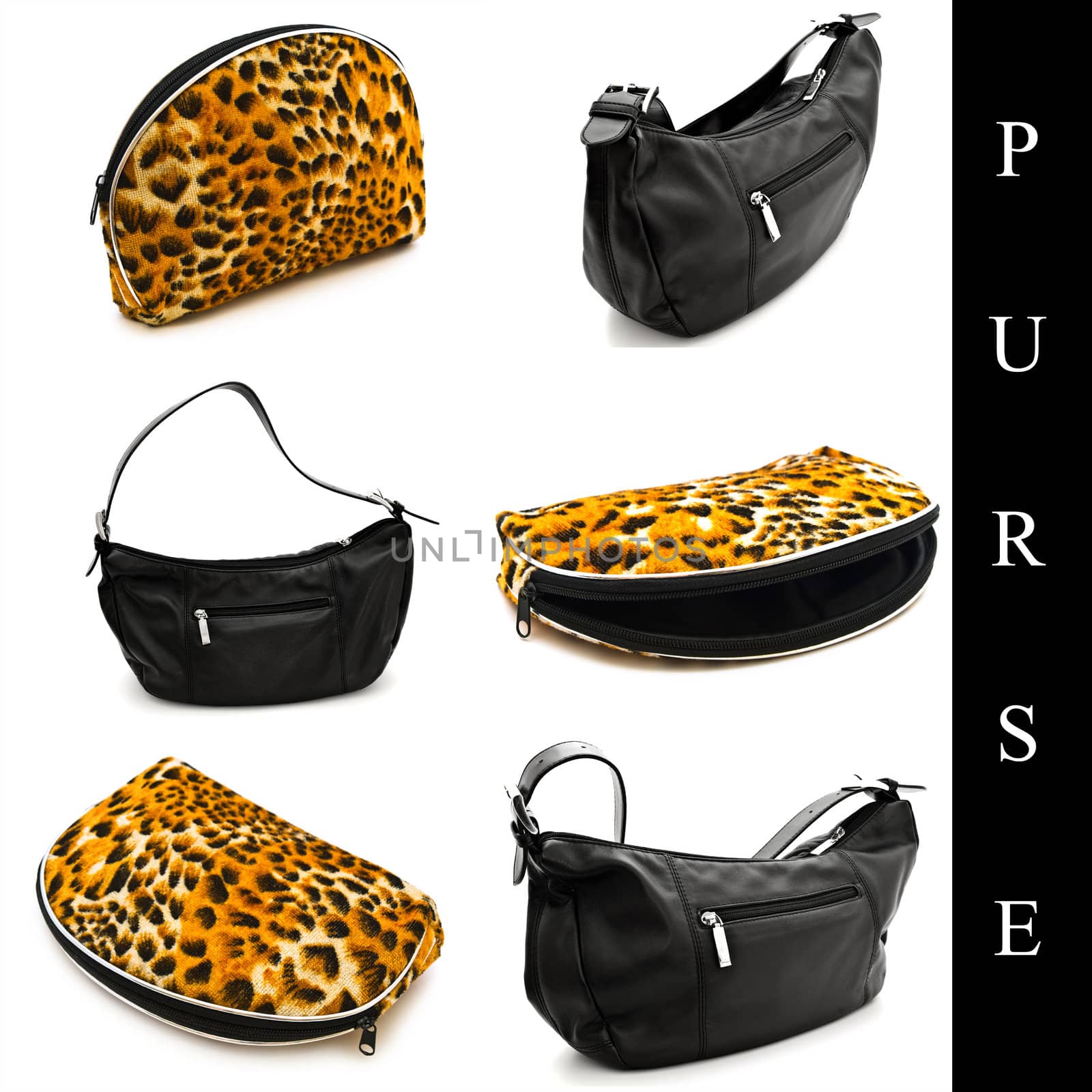 set of fashionable woman`s purses over white background