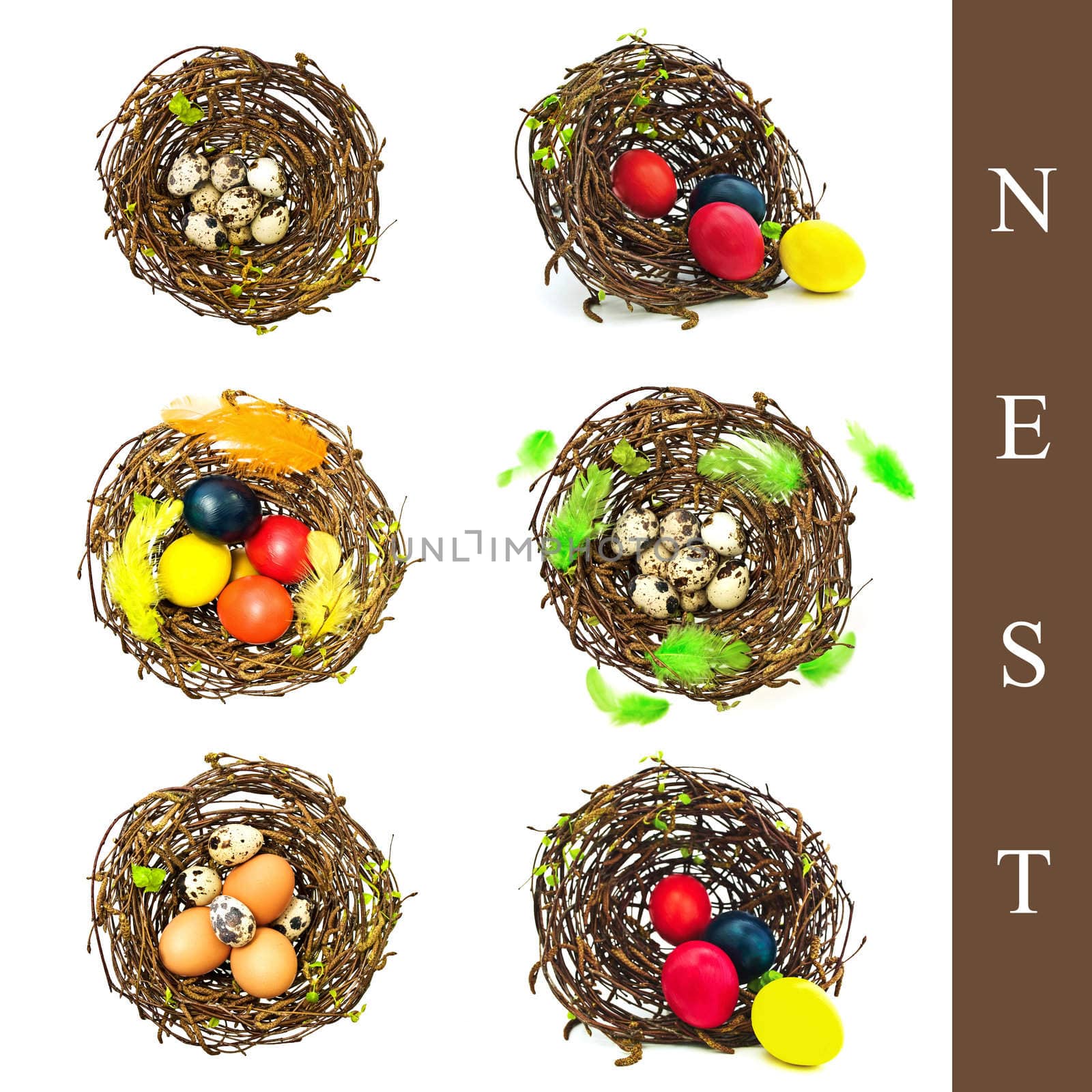set of natural nest with different eggs and decoration over white background