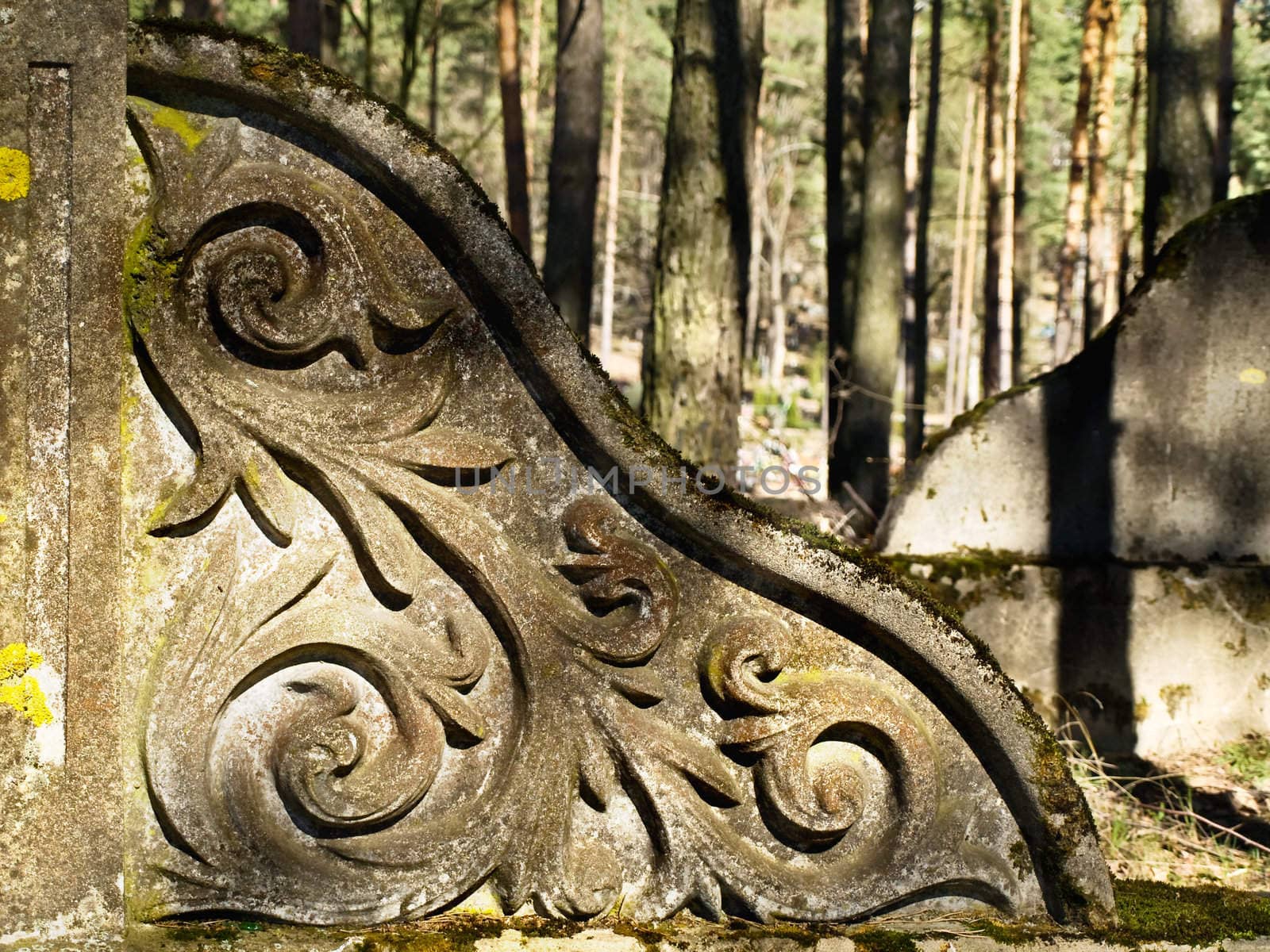 ancient decorated wall in sunny forest