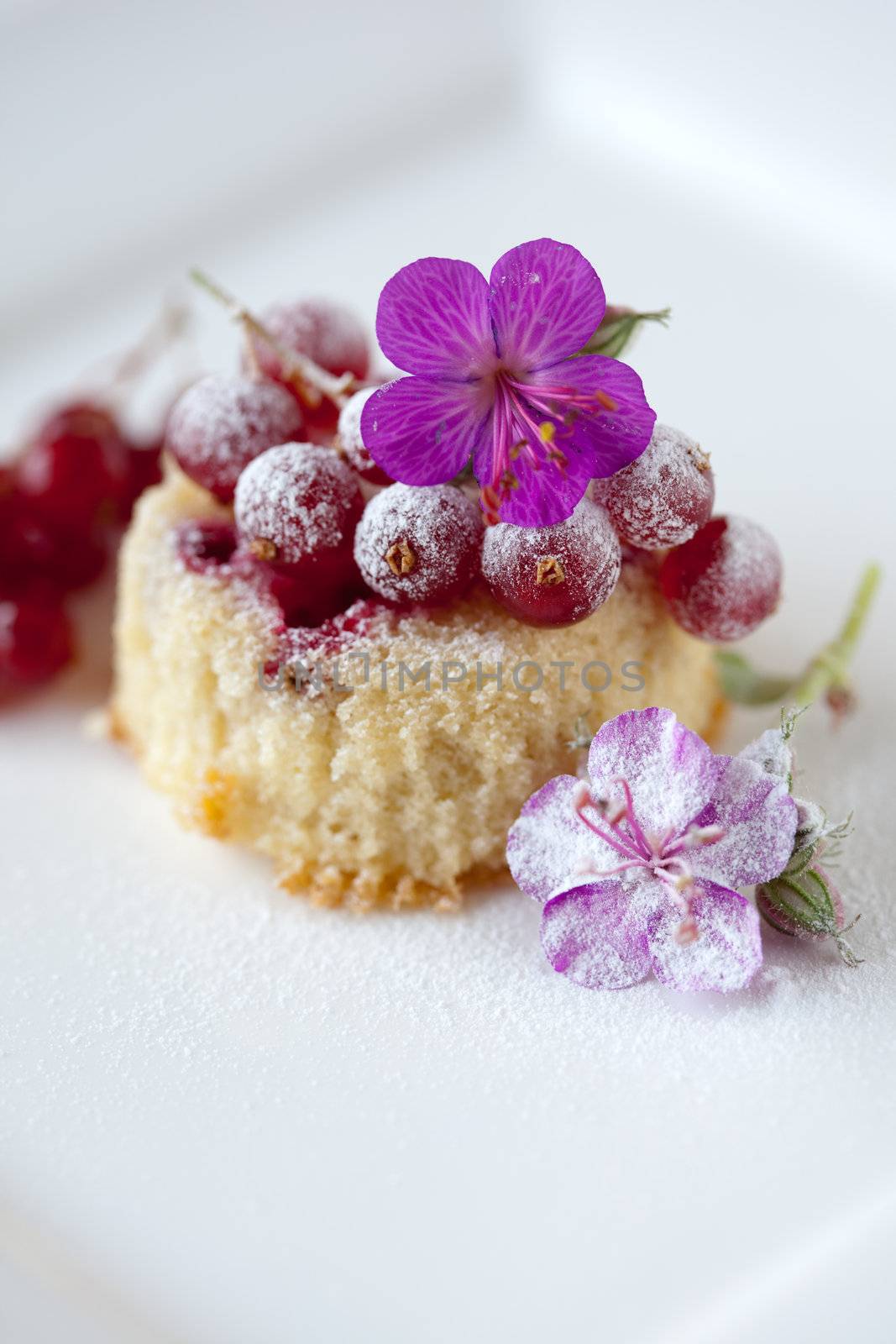 Small cupcake with red currants by Fotosmurf
