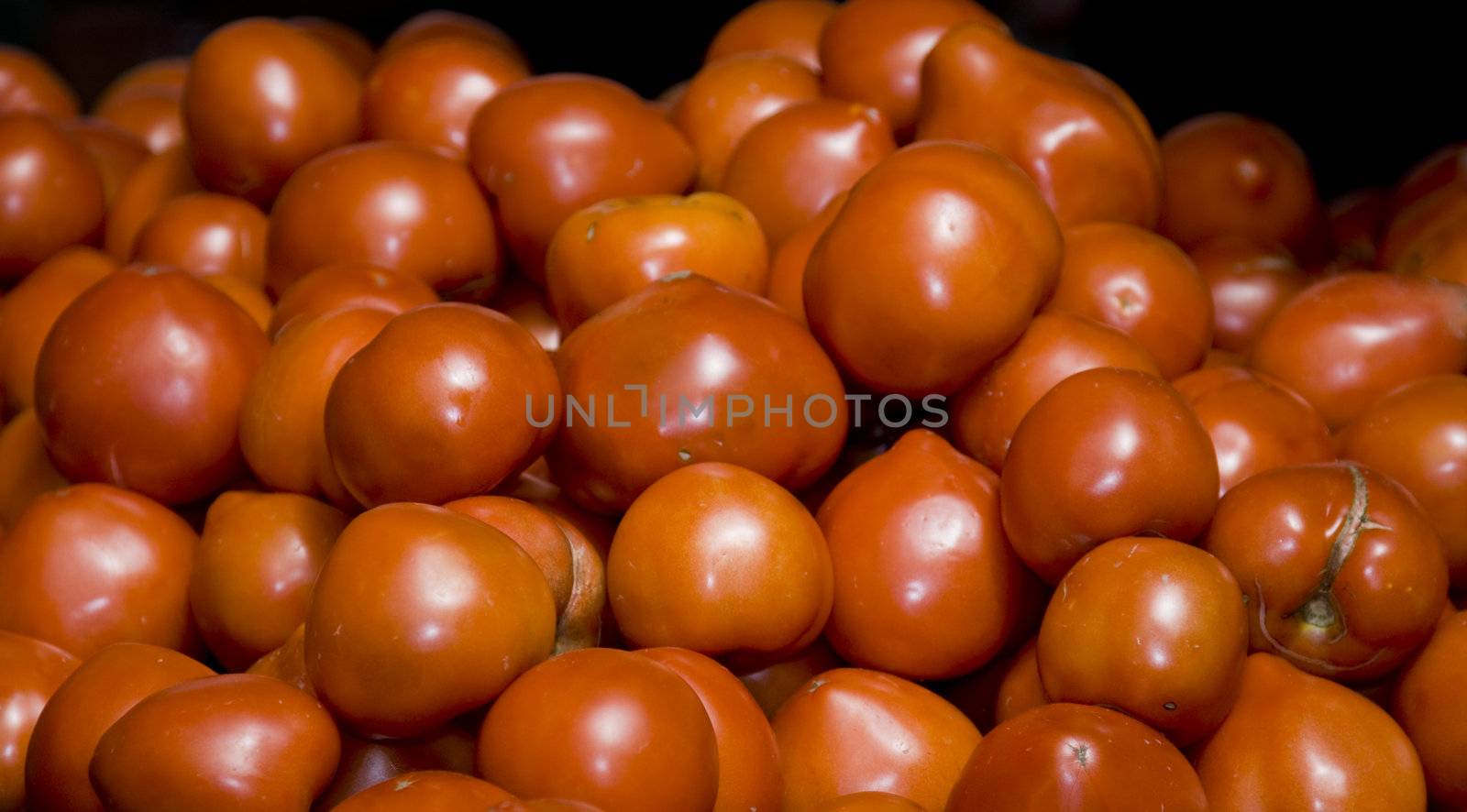 A large group of beautiful red tomatoes