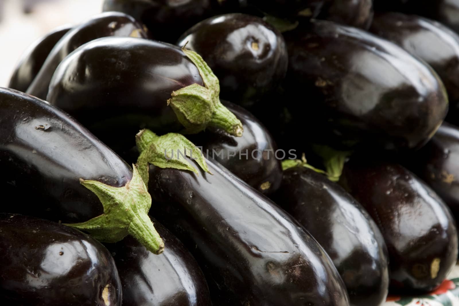 Beautiful Organic Purple Eggplants at Farmers Market