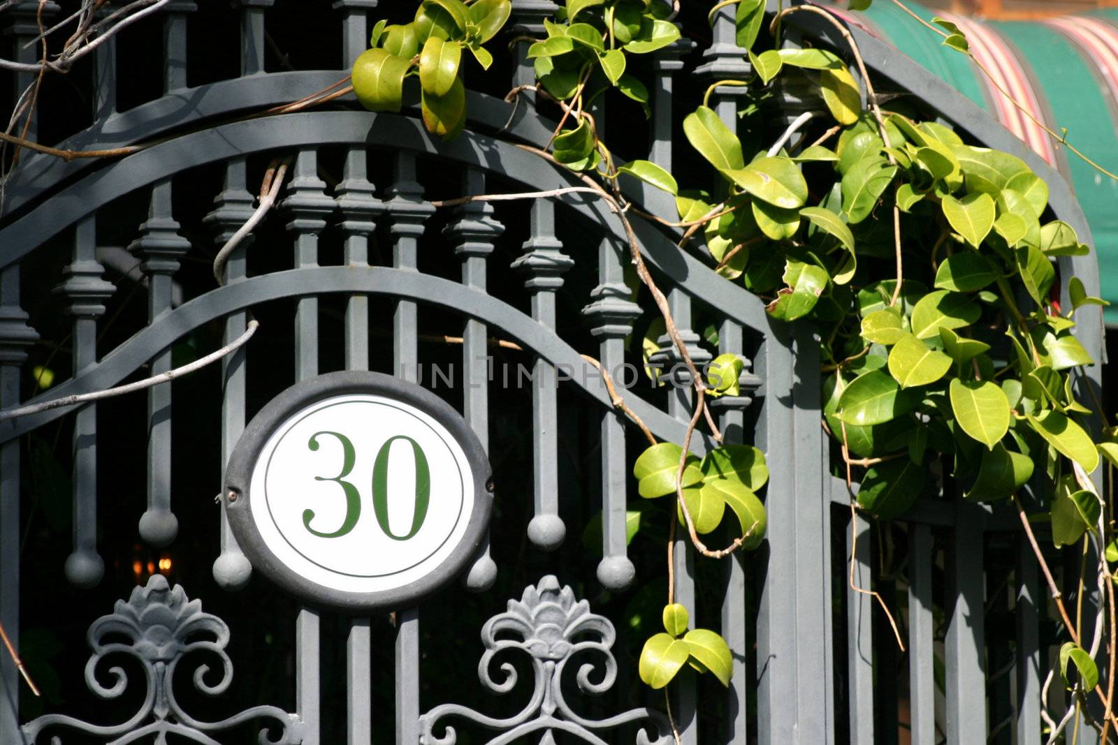 Iron door with the number 30 and some green