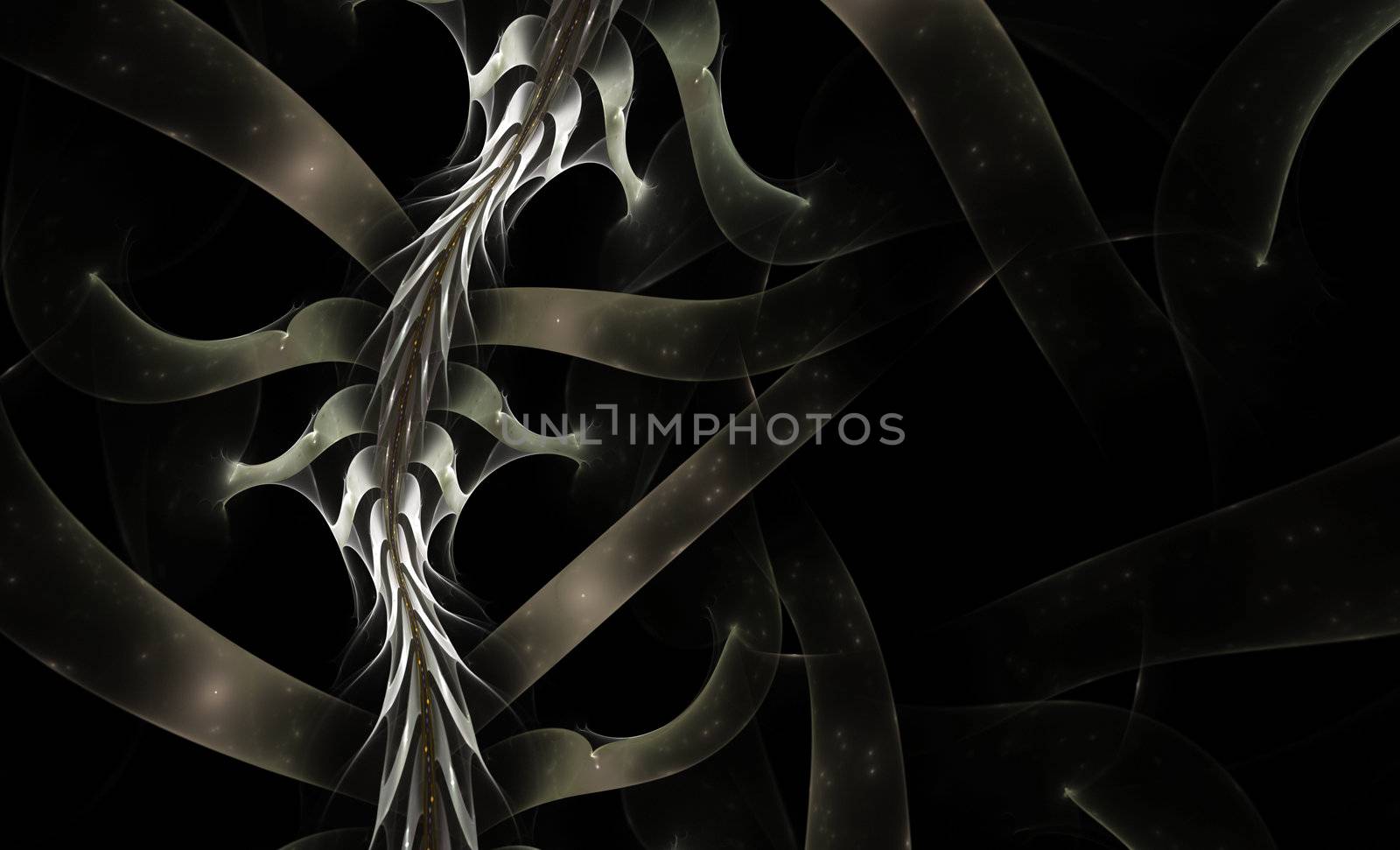 Braided thorns and ribbons rendered in Apophysis on a black background with copy space.