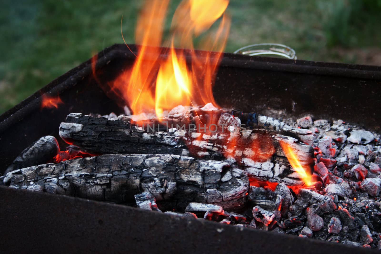 Picnic barbecue charcoals burning brightly in outdoor setting.