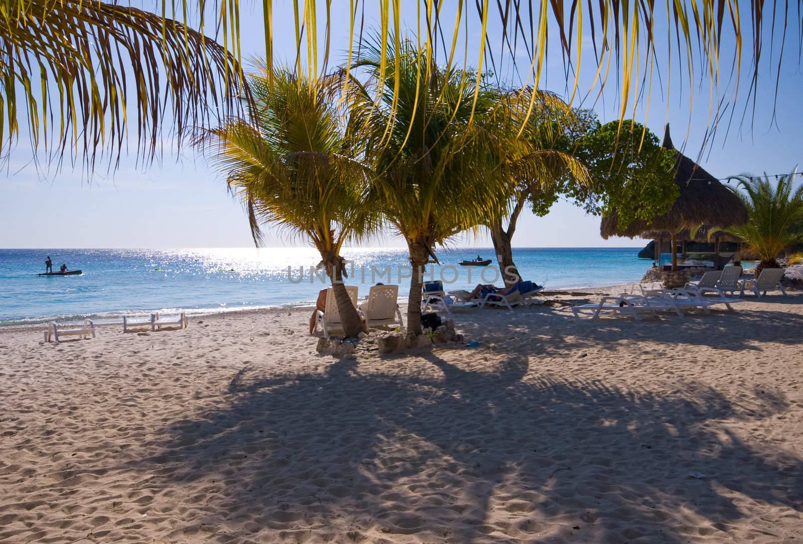 tropical beach with palm and soft shade in the sand and sunlight in the sea