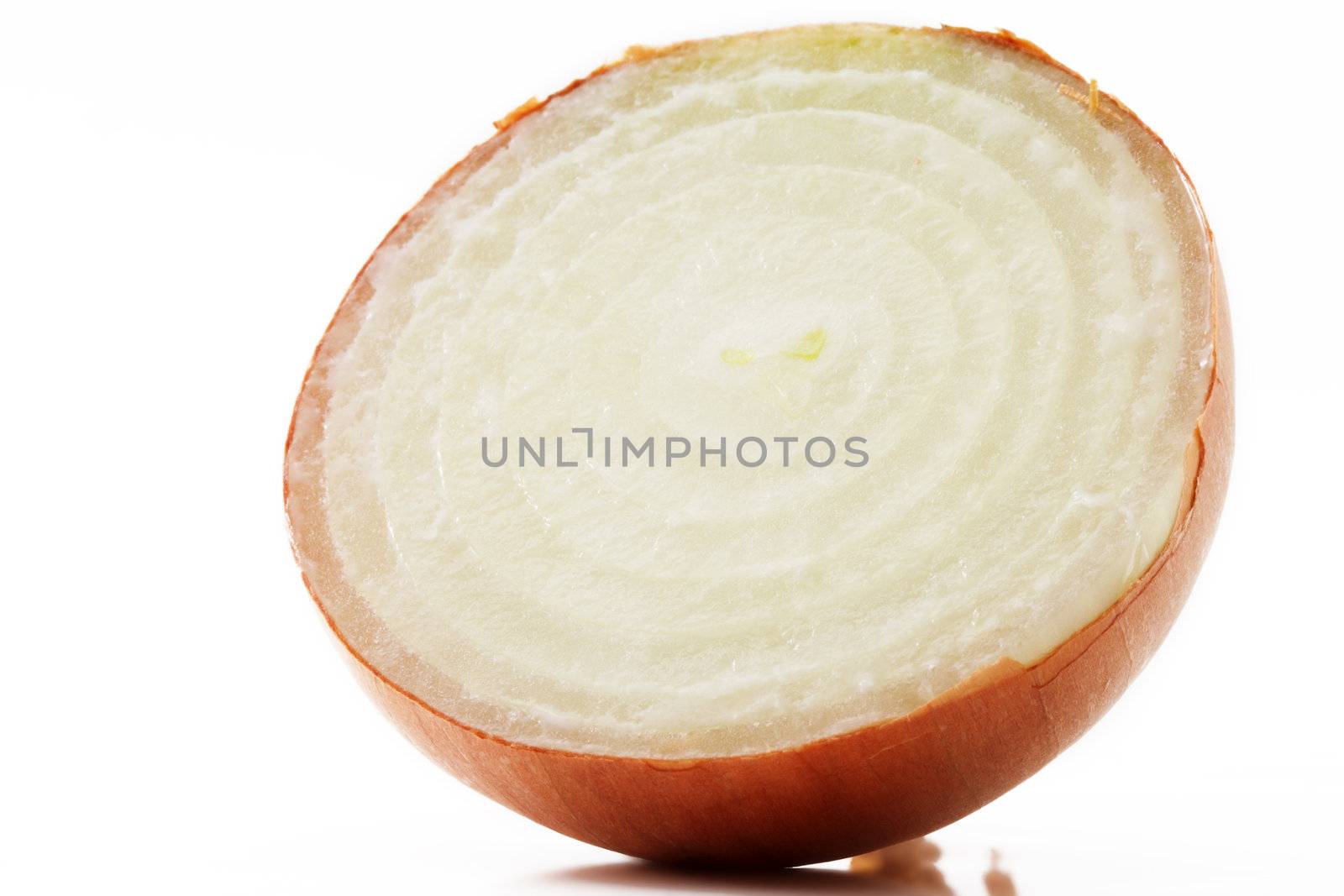 one half onion on white background