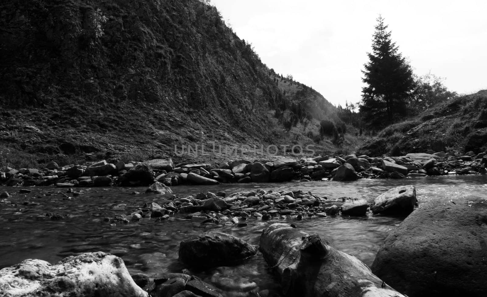 Polish mountain range in Pieninski Park Nationality