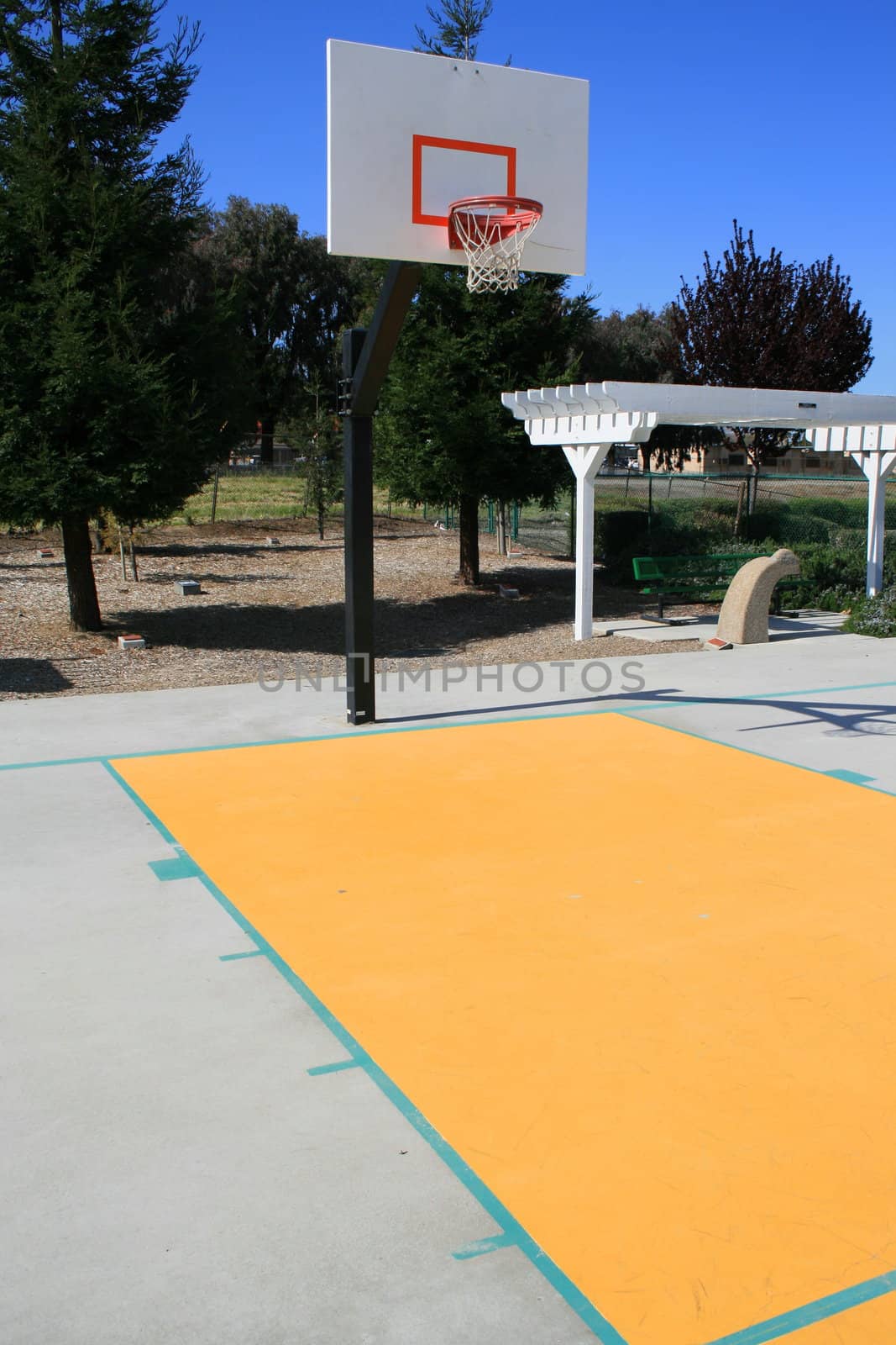 Basketball court on a sunny day in a park.
