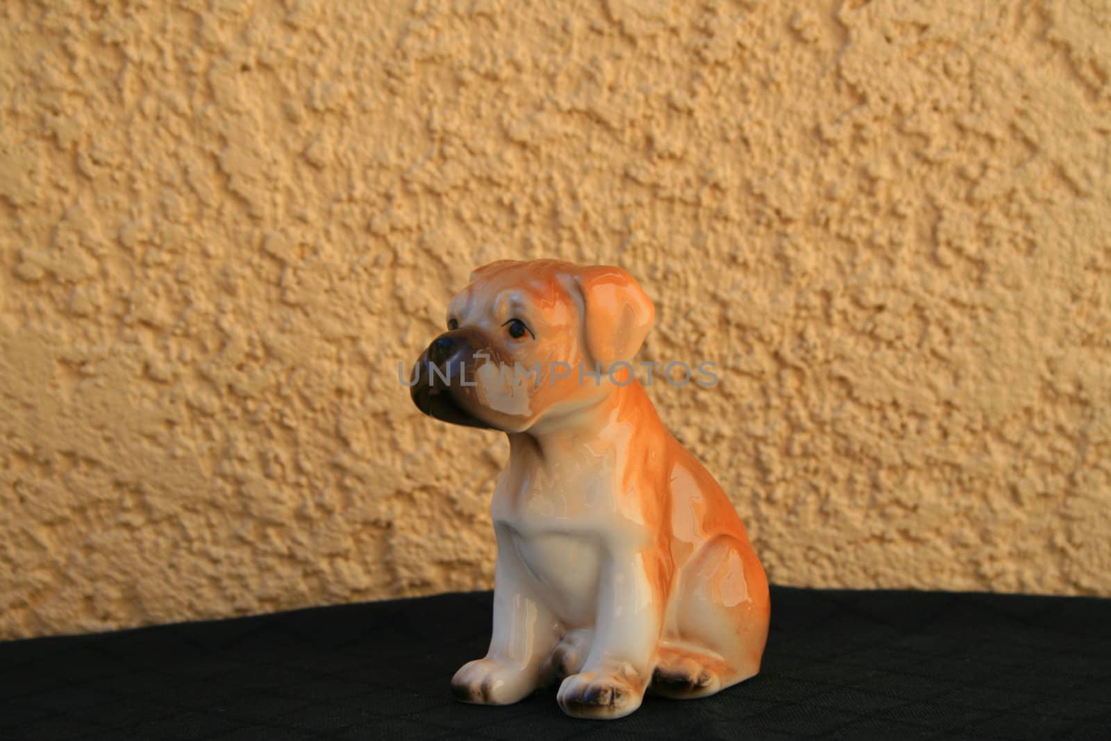 Small boxer puppy figurine over black and cream background.
