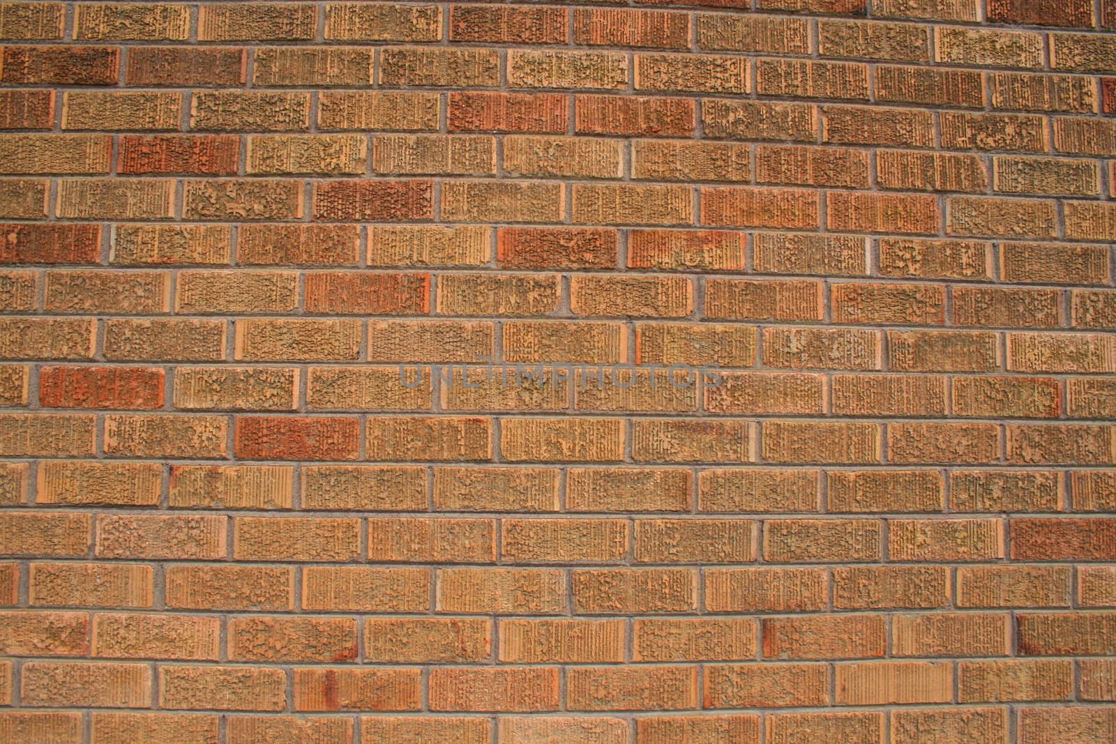 Close up of a brickwall showing unique pattern.
