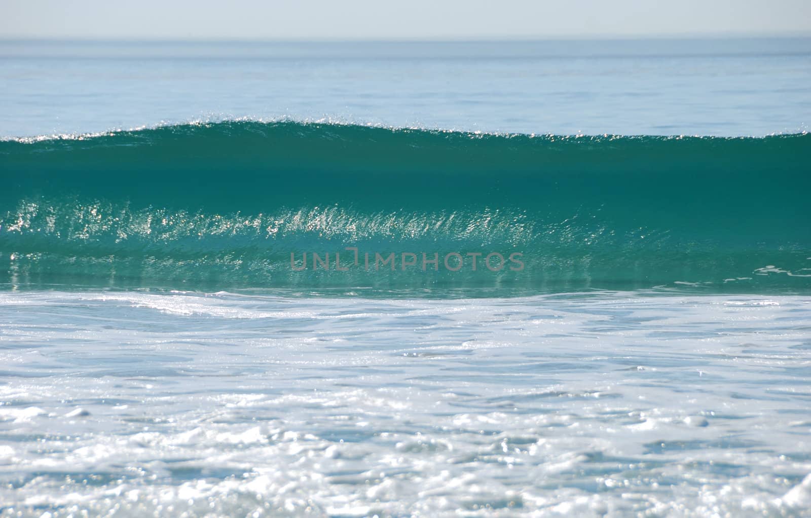 rising ocean wave shown on a sunny day with foam in the foreground