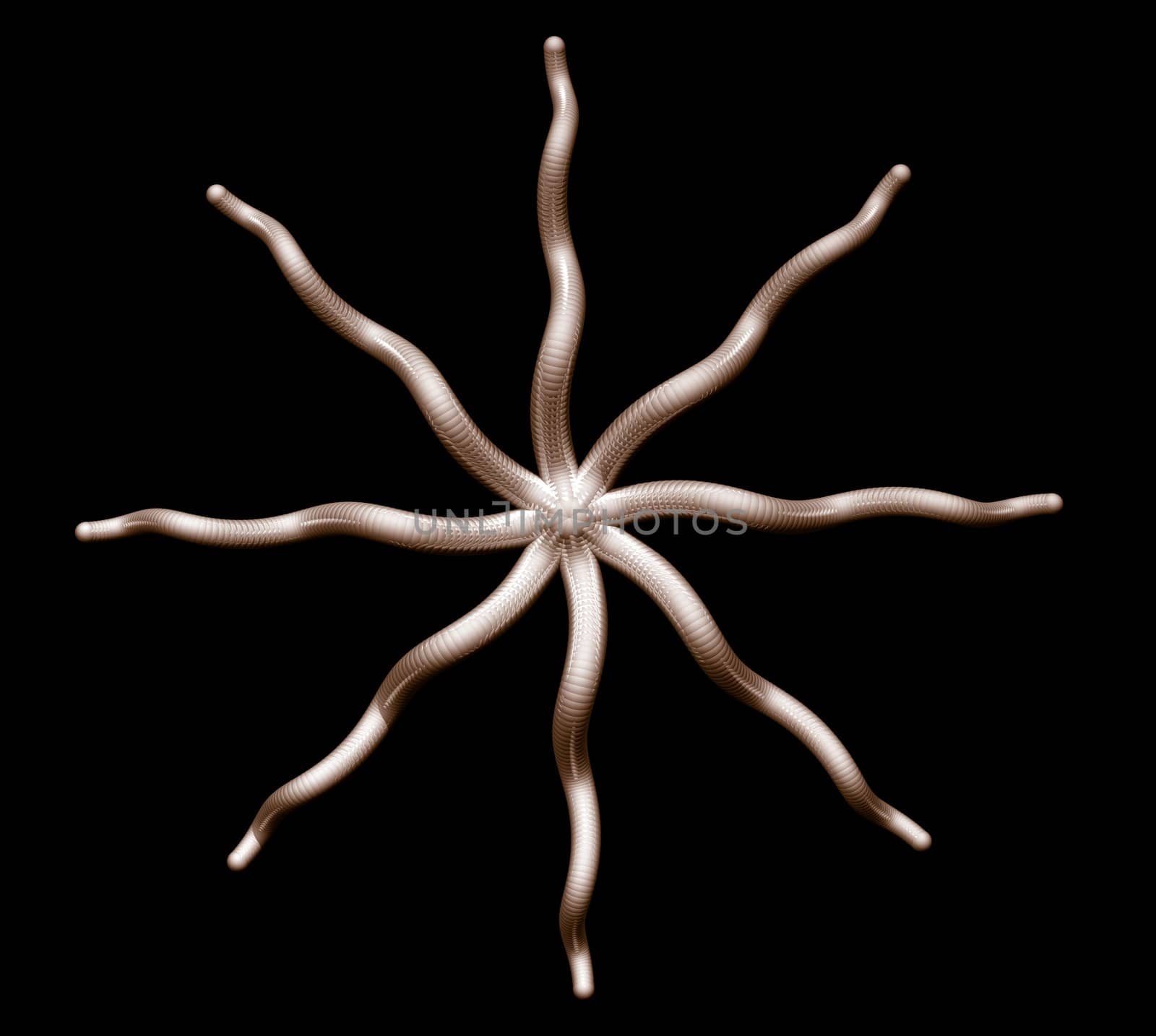 Abstract organic star shape on black background - 3d illustration