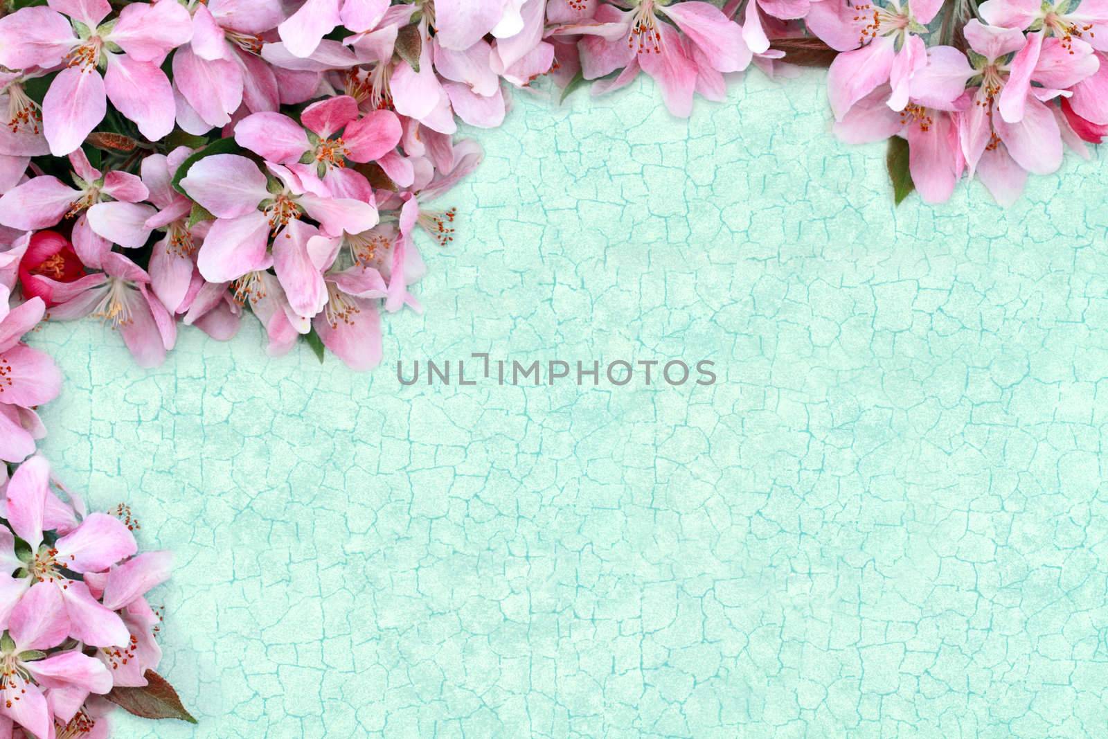 Floral craquelure background with room for your text.