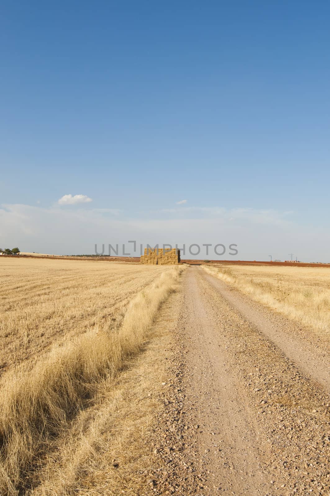 straws of hay, grain crop field by FernandoCortes