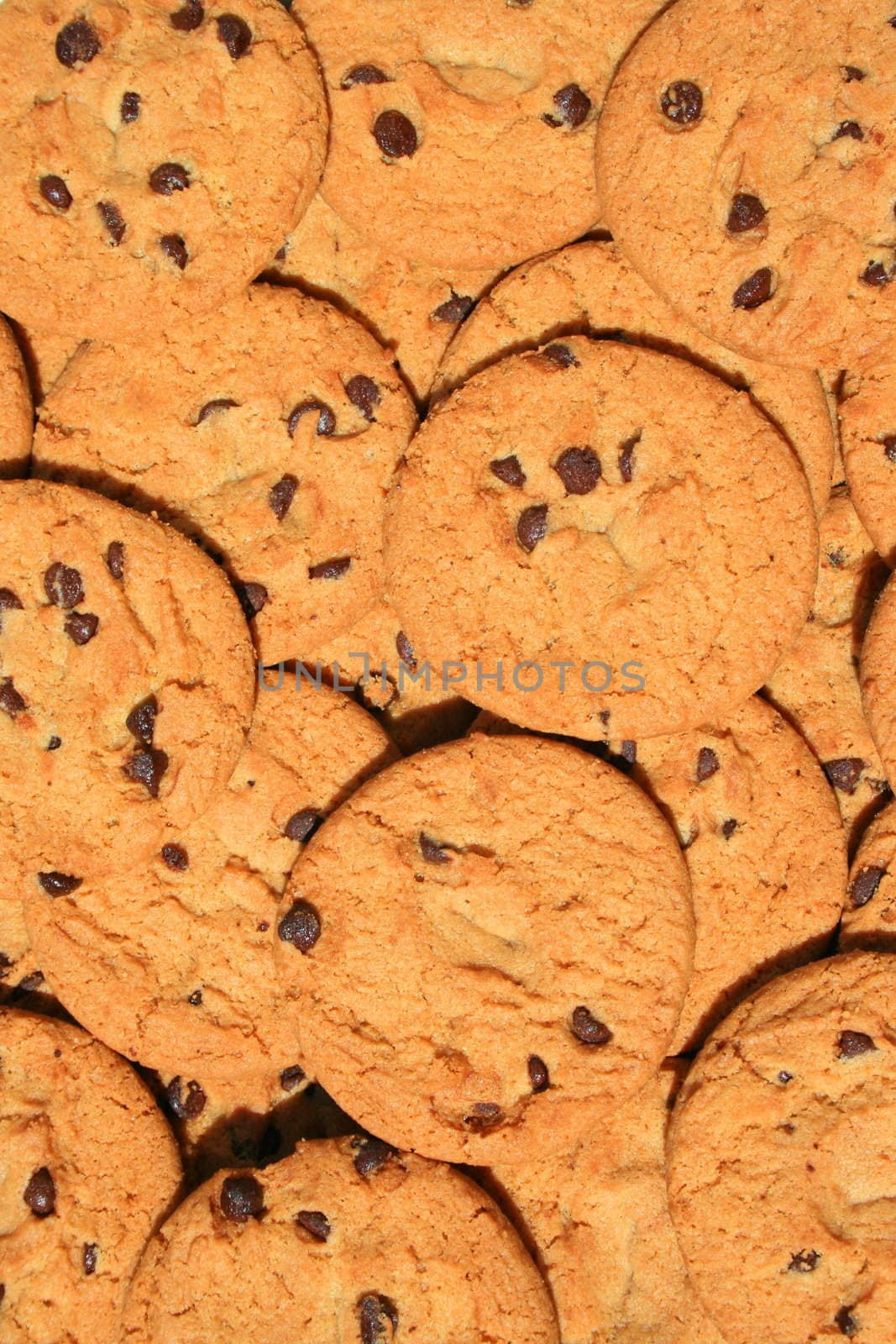 Close up of chocolate chip cookies.
