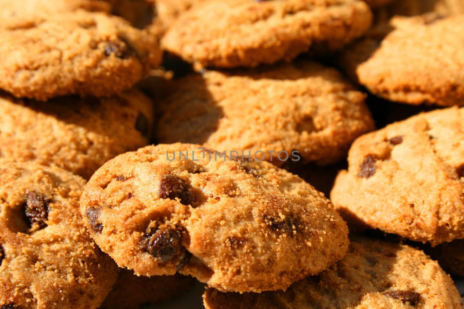 Close up of chocolate chip cookies.
