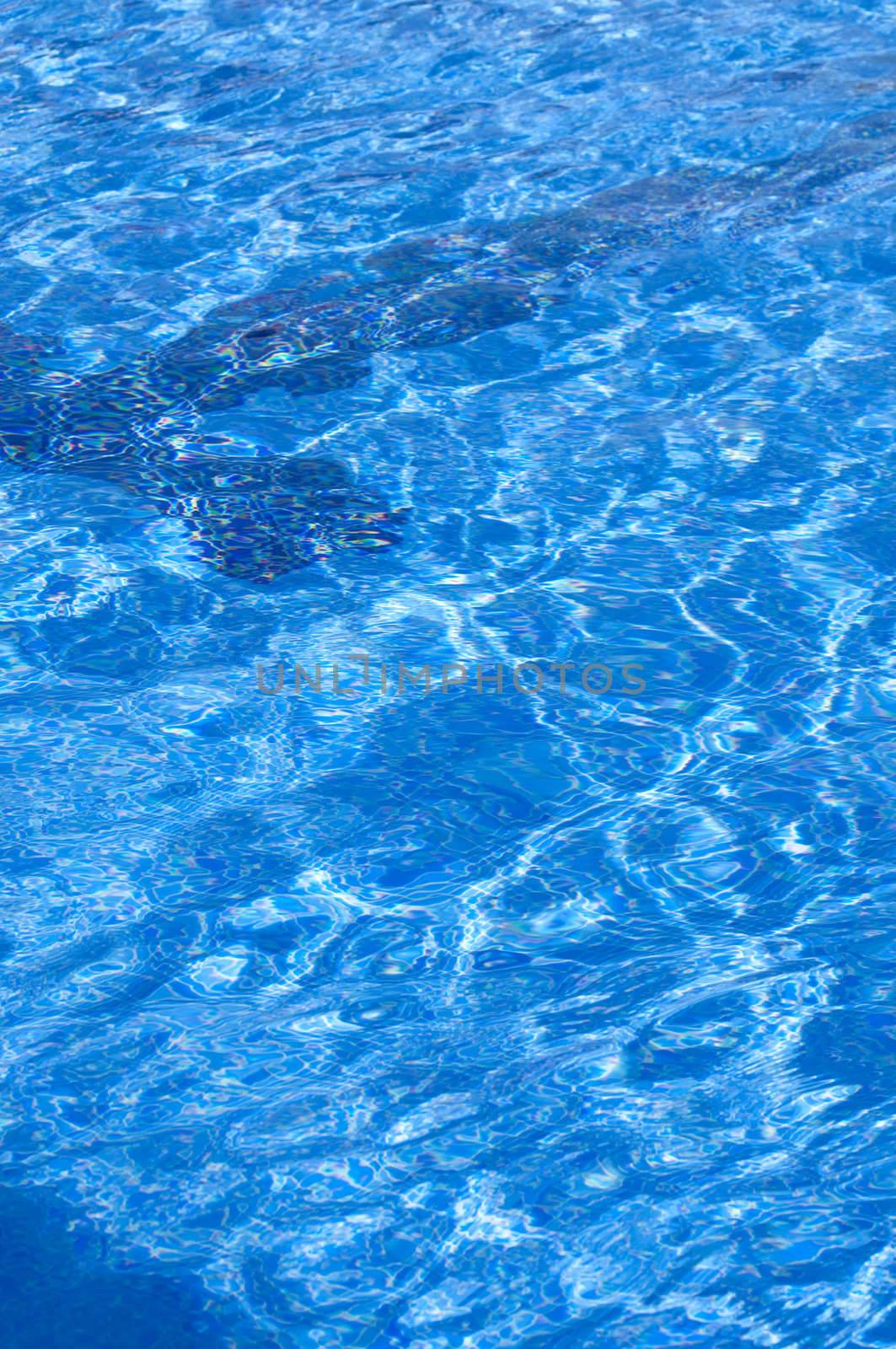 Picture of a swimming pool with details,