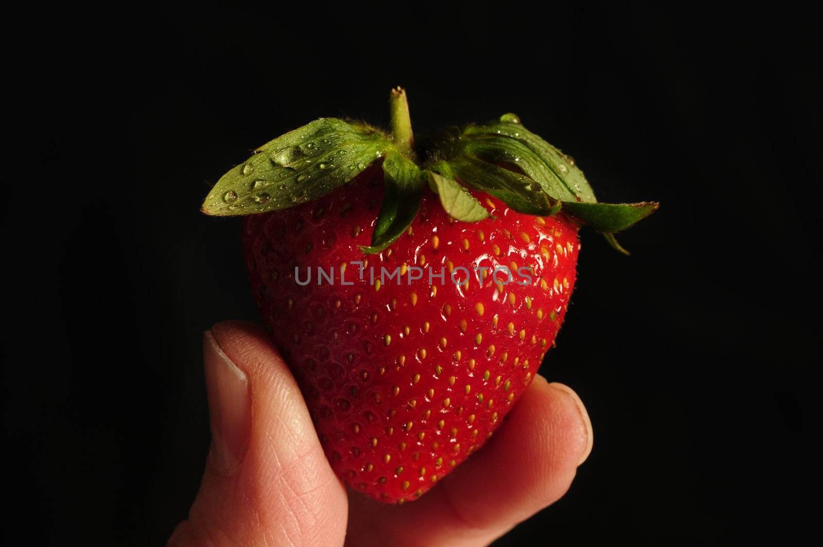 Single strawberry being held between two fingers with water drops