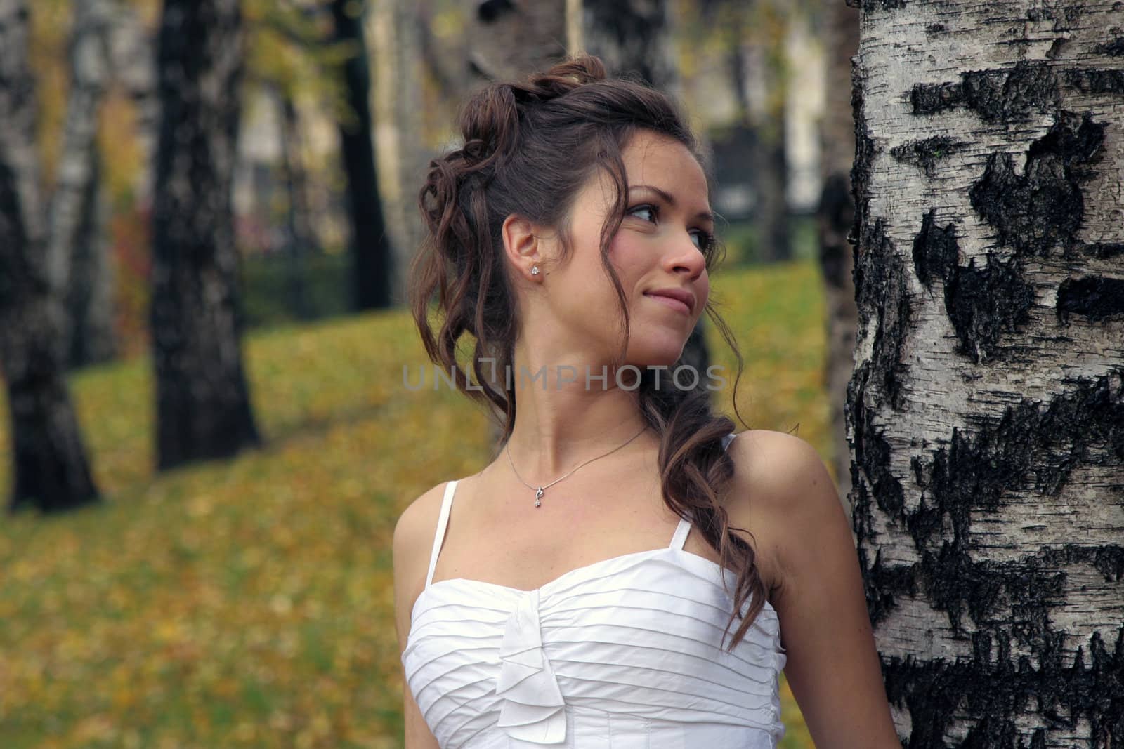 The bride walks in a birchwood in the autumn