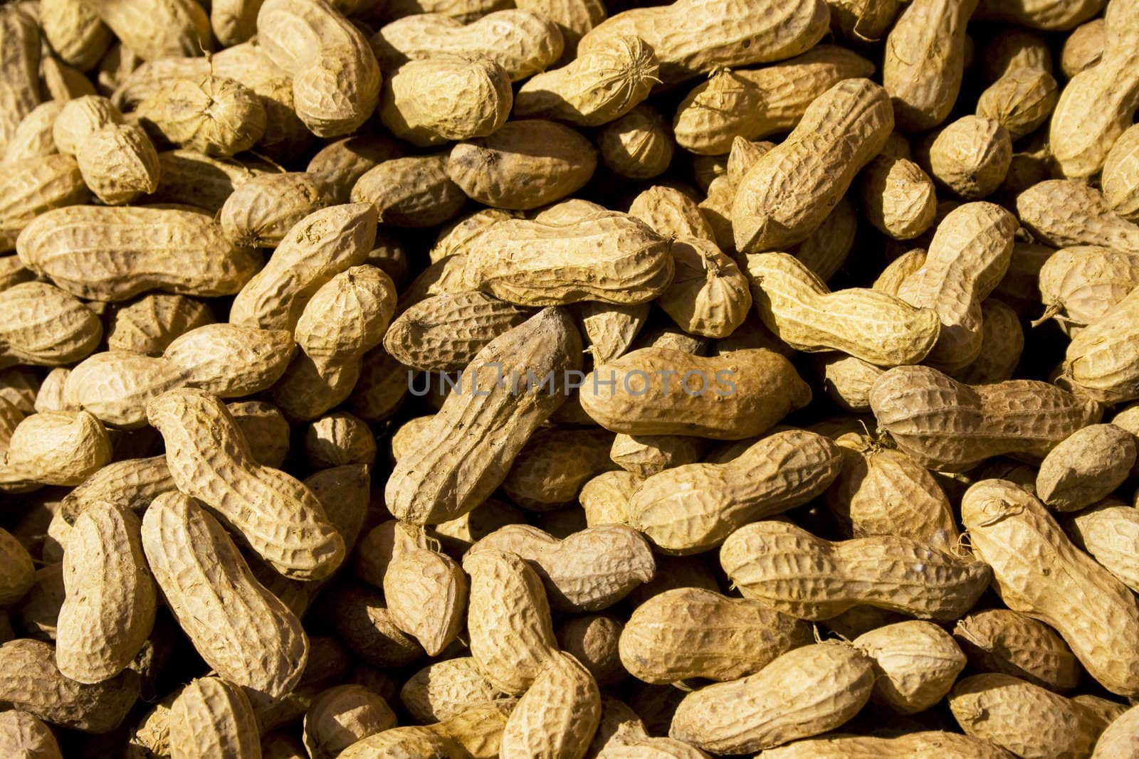 Lot of peanut can use as background in design.