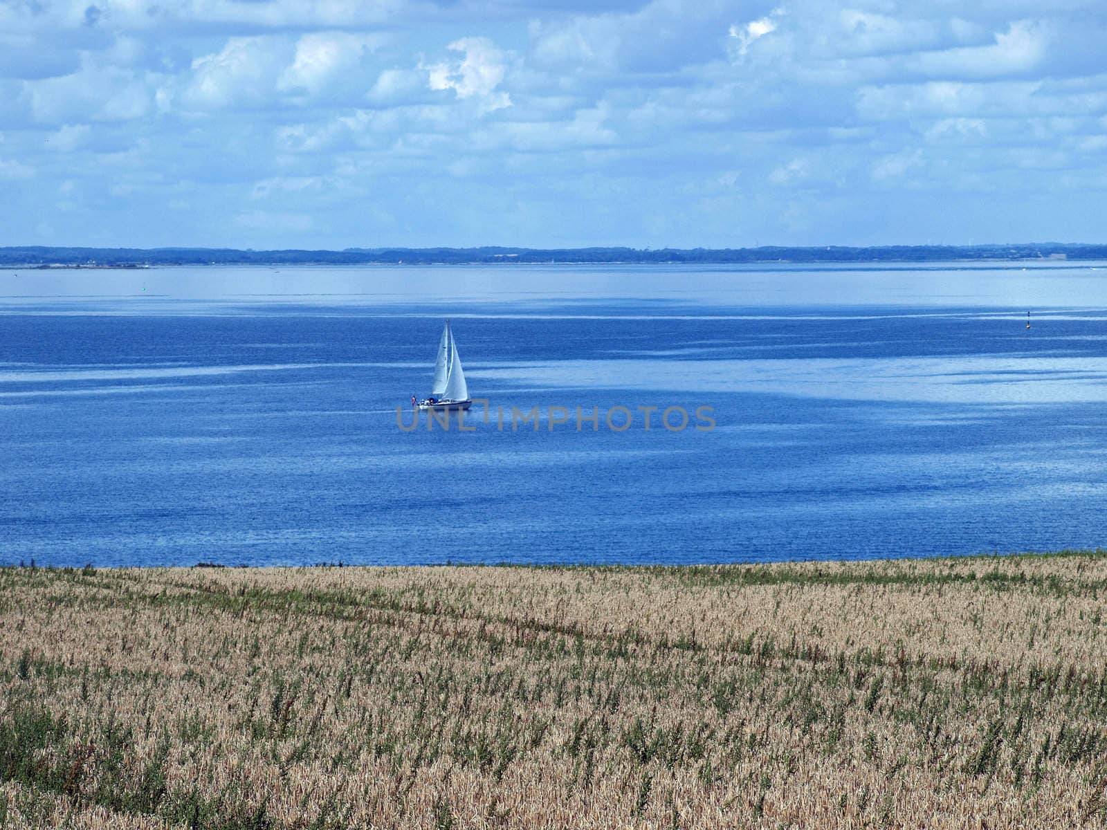 Sailboat yacht in clear blue sea with field in the foreground 