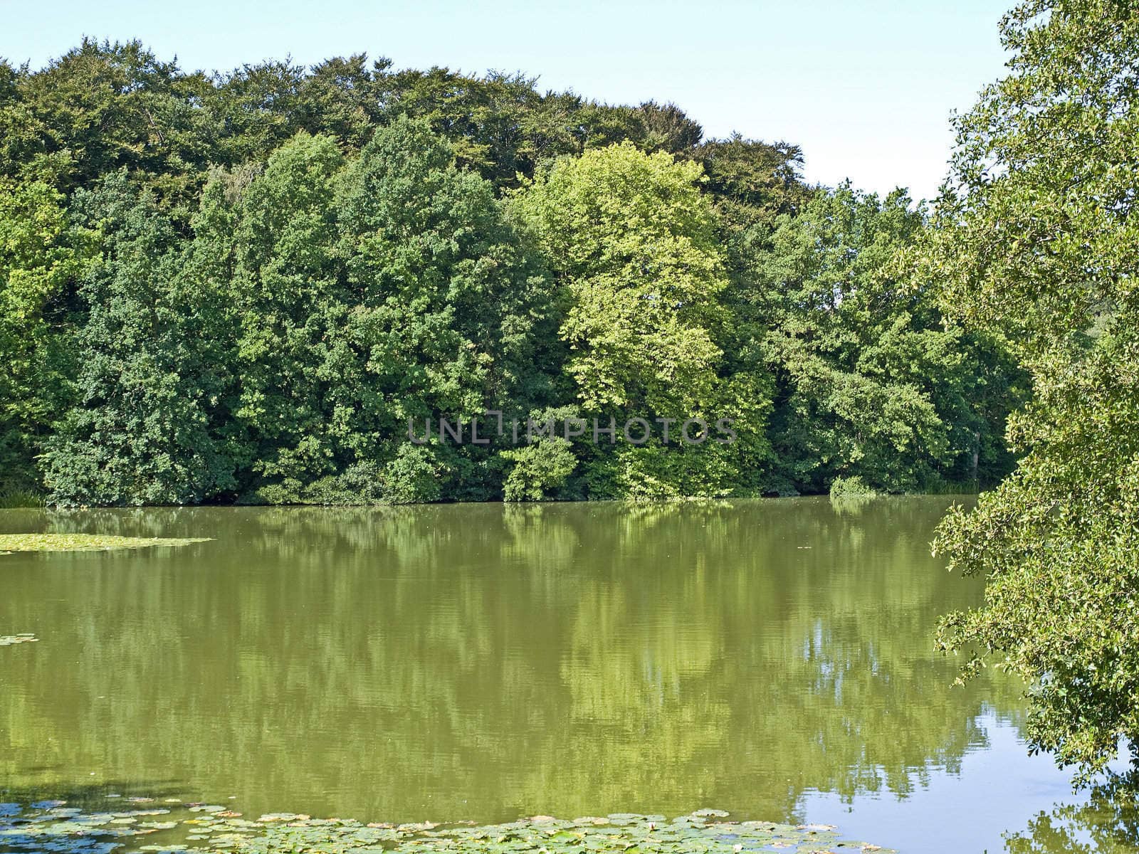 Beautiful lake landscape with reflection in the water