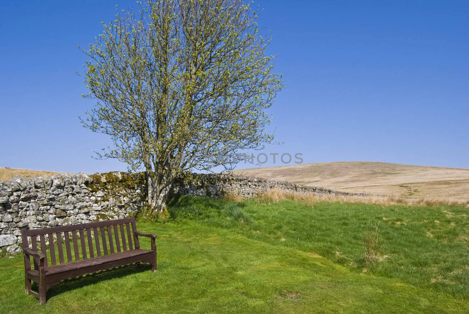 beautiful resting place in a hilly scenery