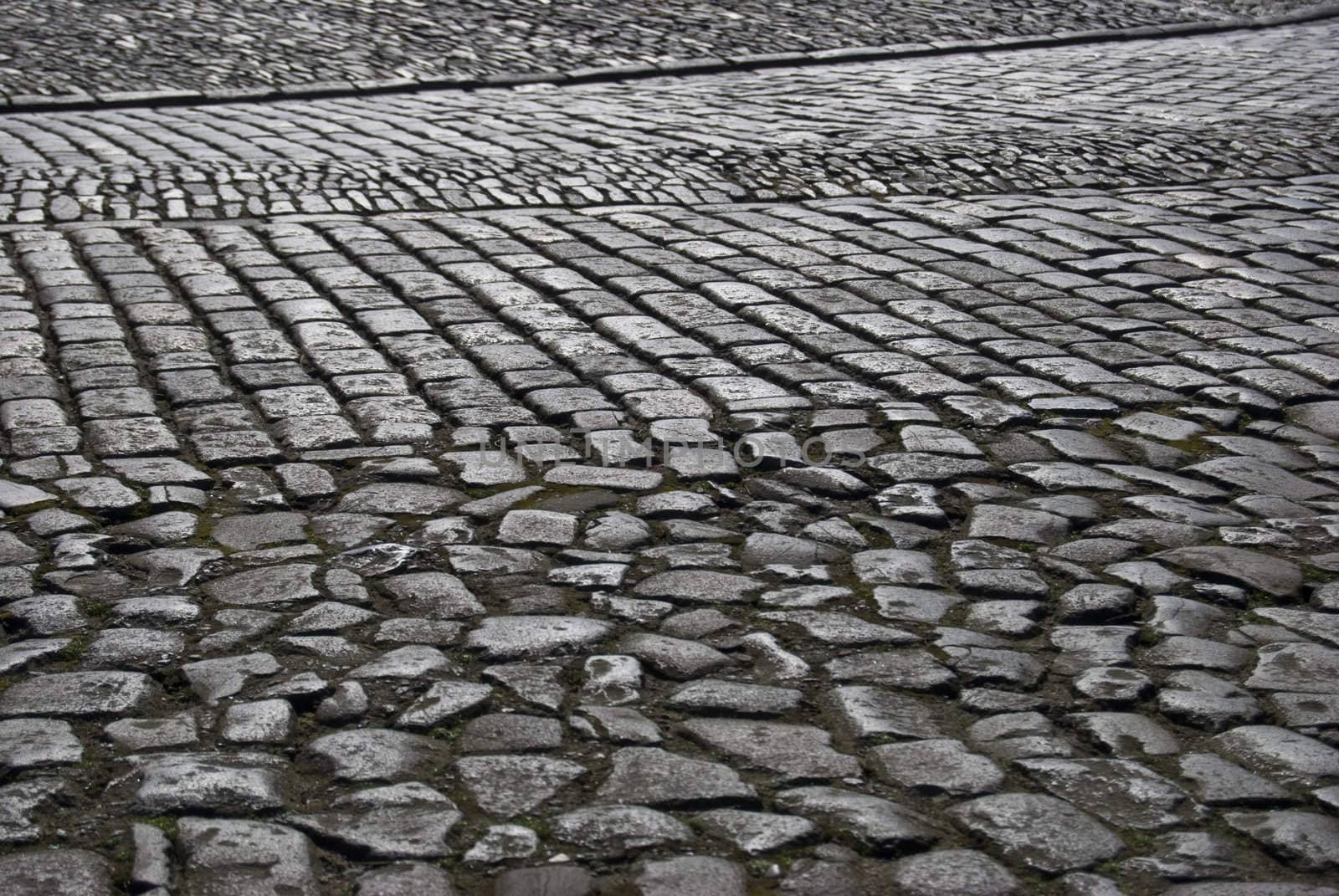 pavement of cobblestones on a sunny day