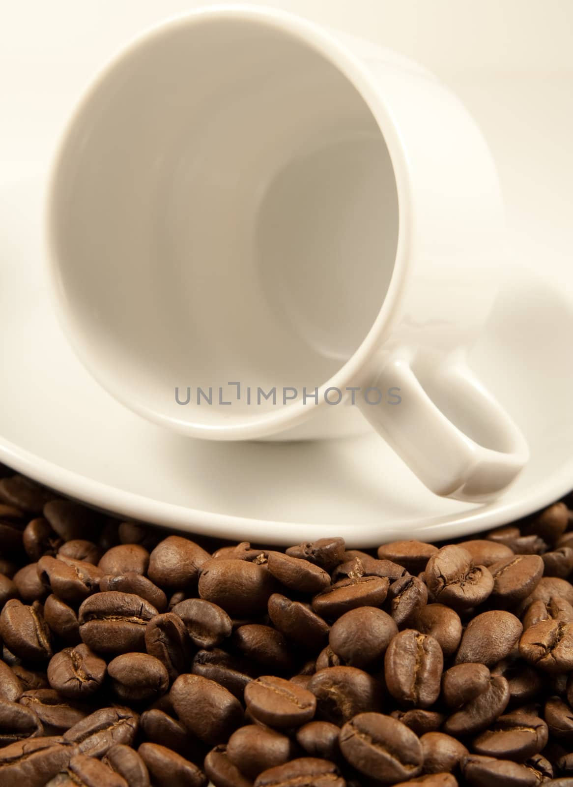 White coffee cup on roasted beans. Shallow DOF