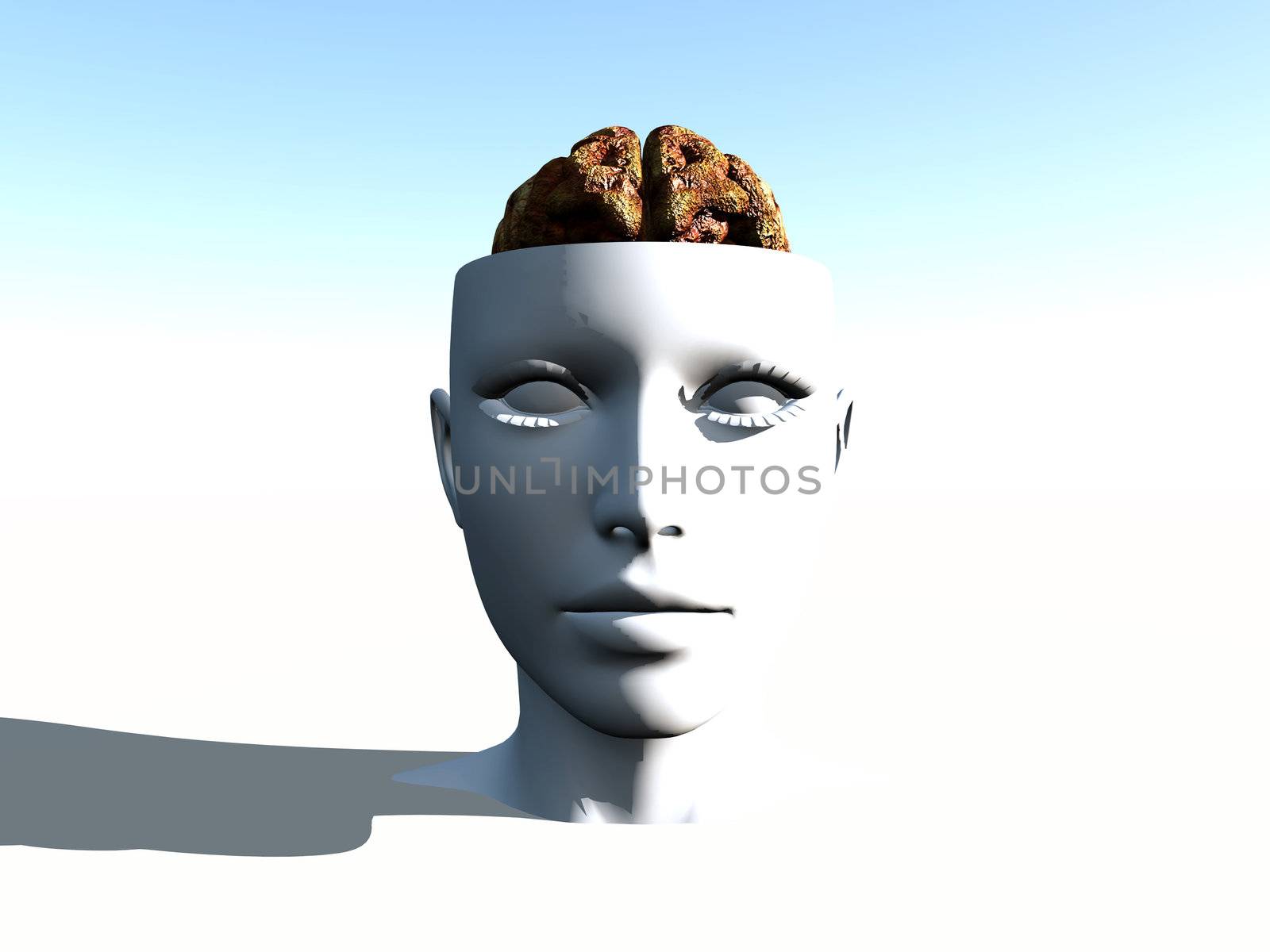 An anatomical open top head revealing a human brain inside.