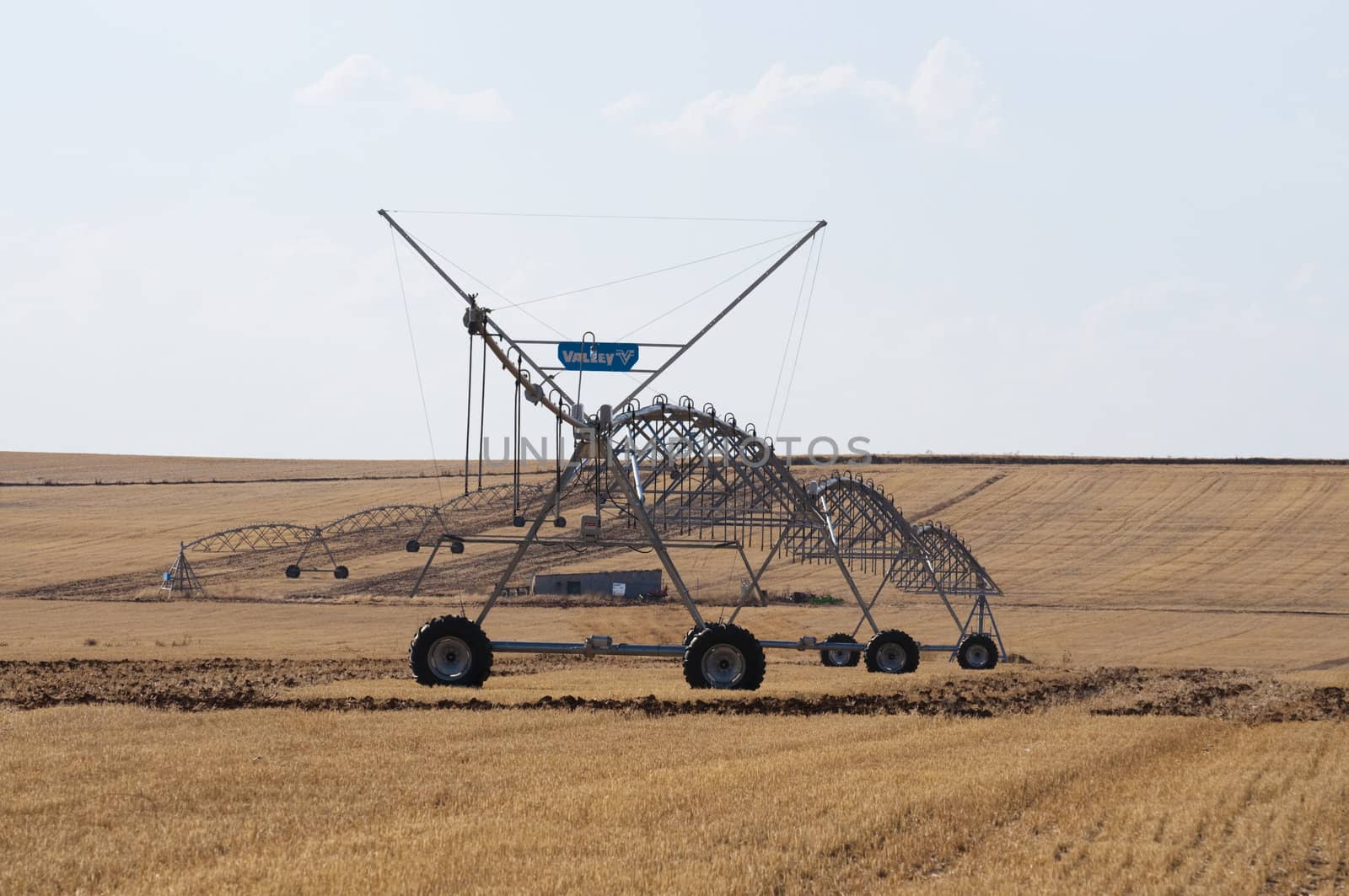 straws of hay, grain crop field by FernandoCortes