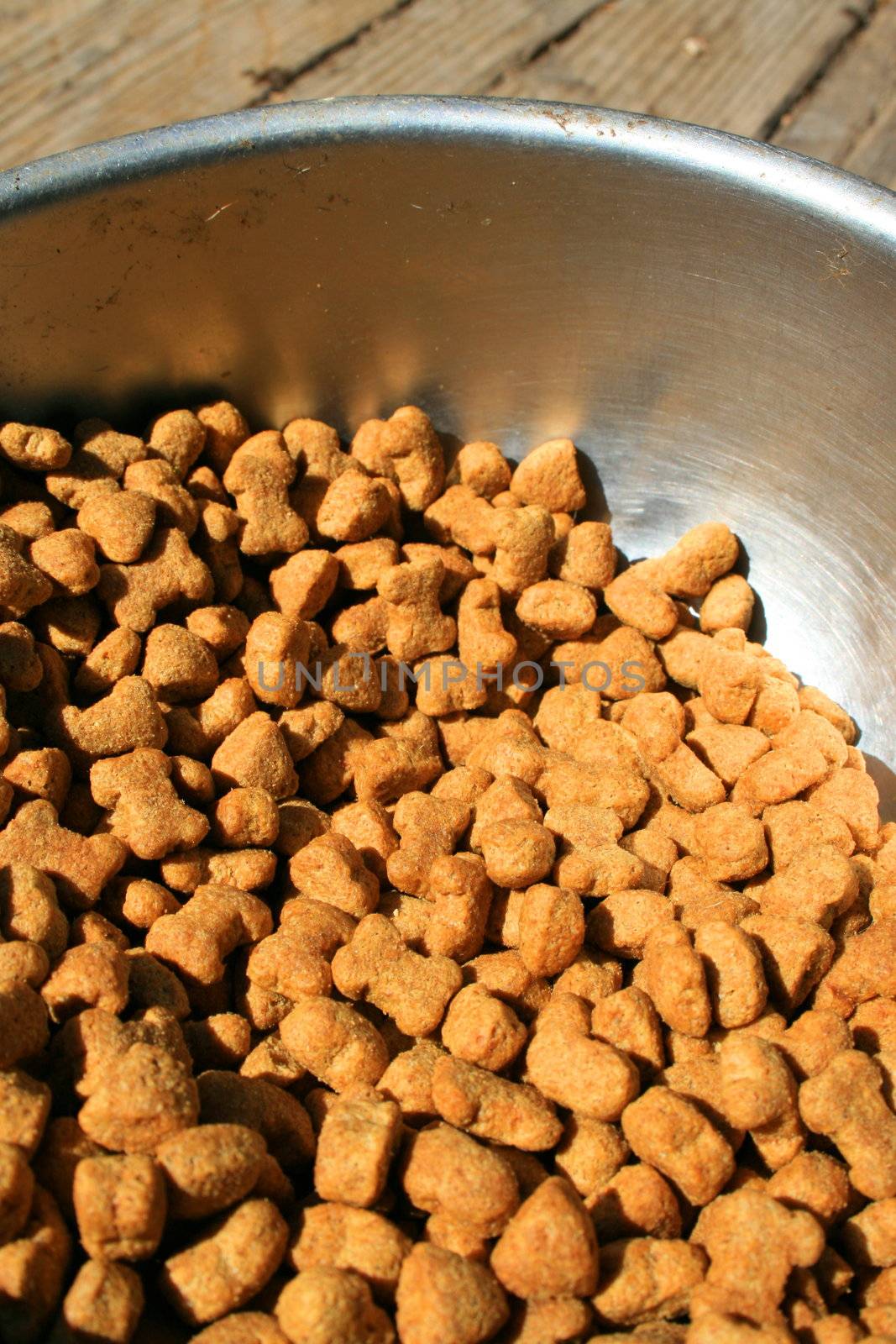 Close up of a dog food in a bowl.
