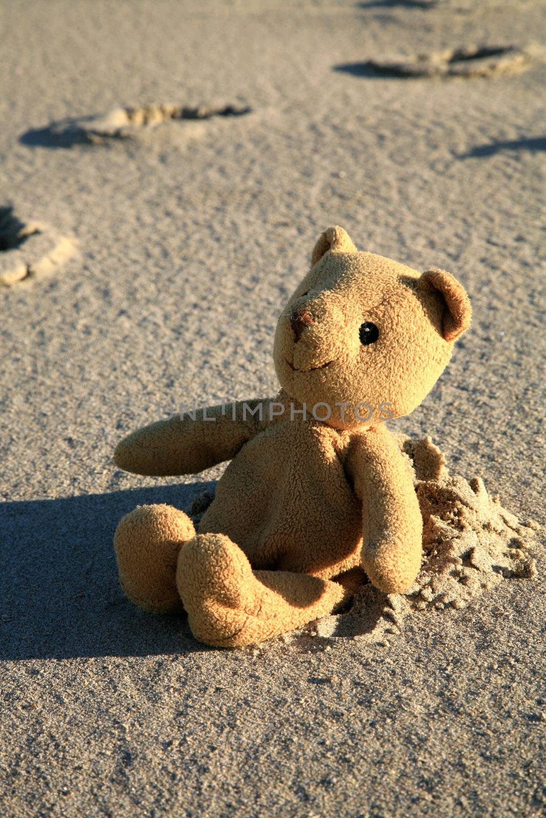 Teddy bear on the beach by fotokate