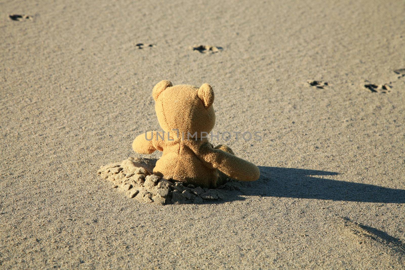 Lonely teddy bear lost on the beach. Left children's toy.