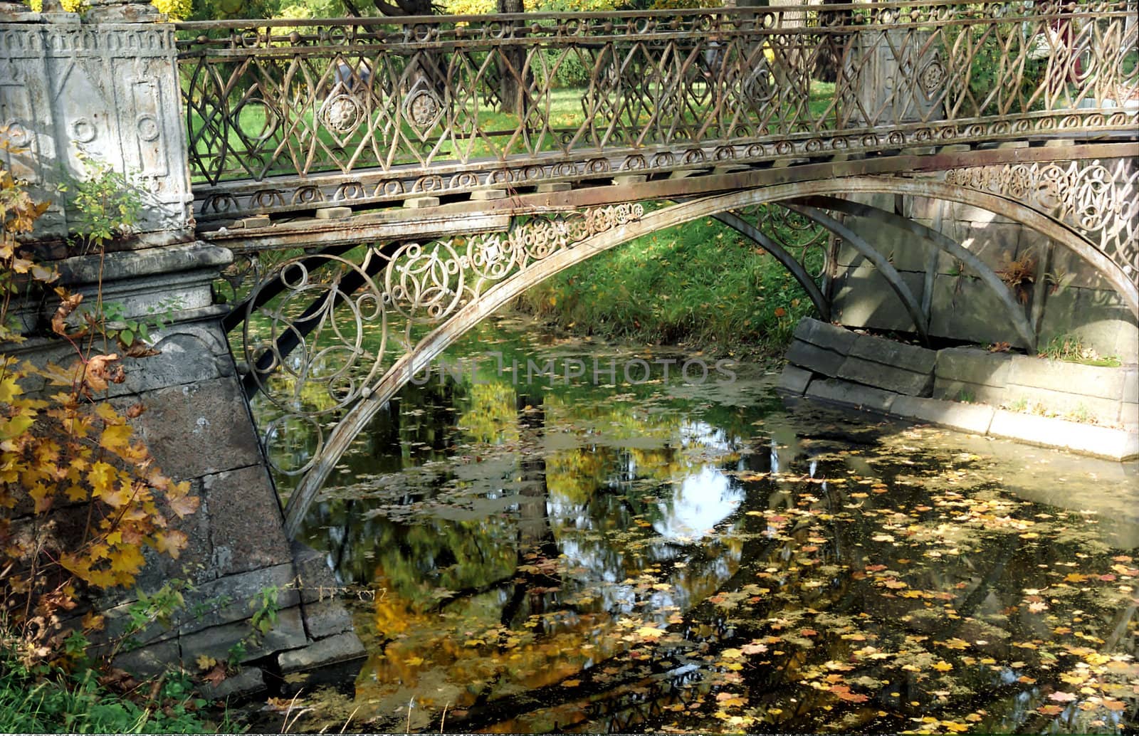 Old metal bridge and fallen leaves under it