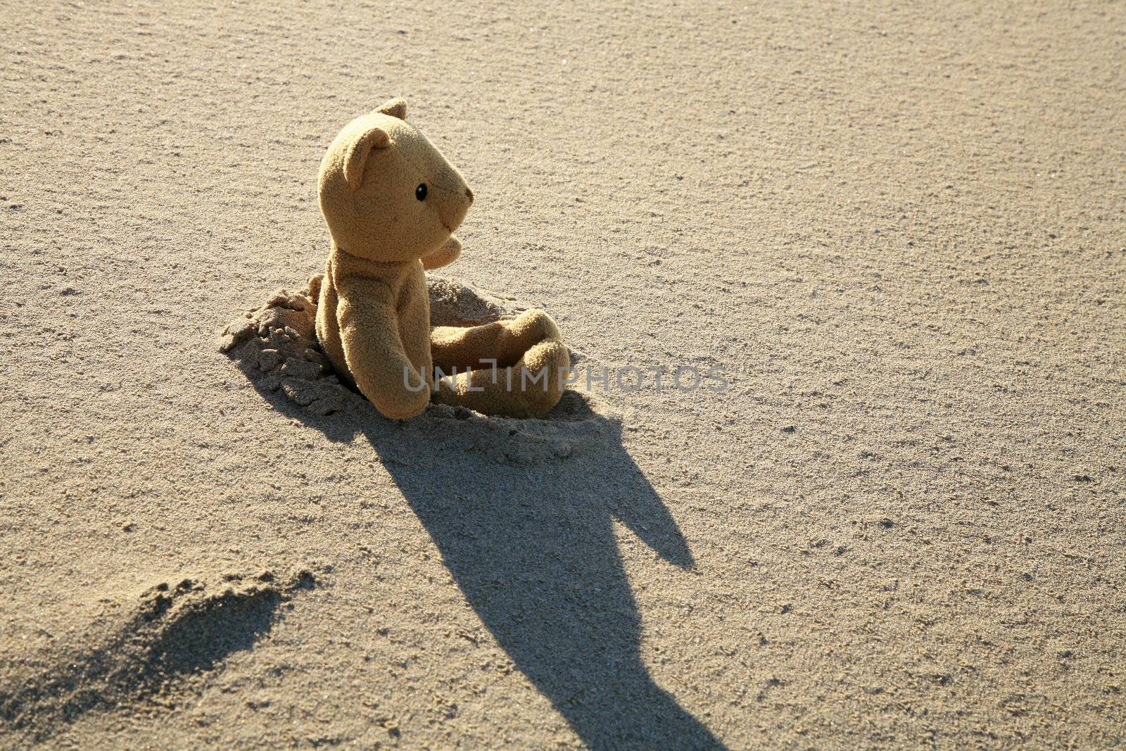 Teddy bear on the beach by fotokate