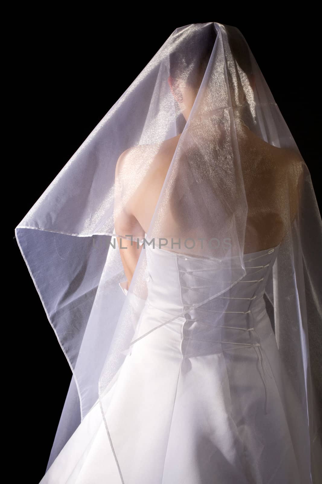 young women in the veil and white dress